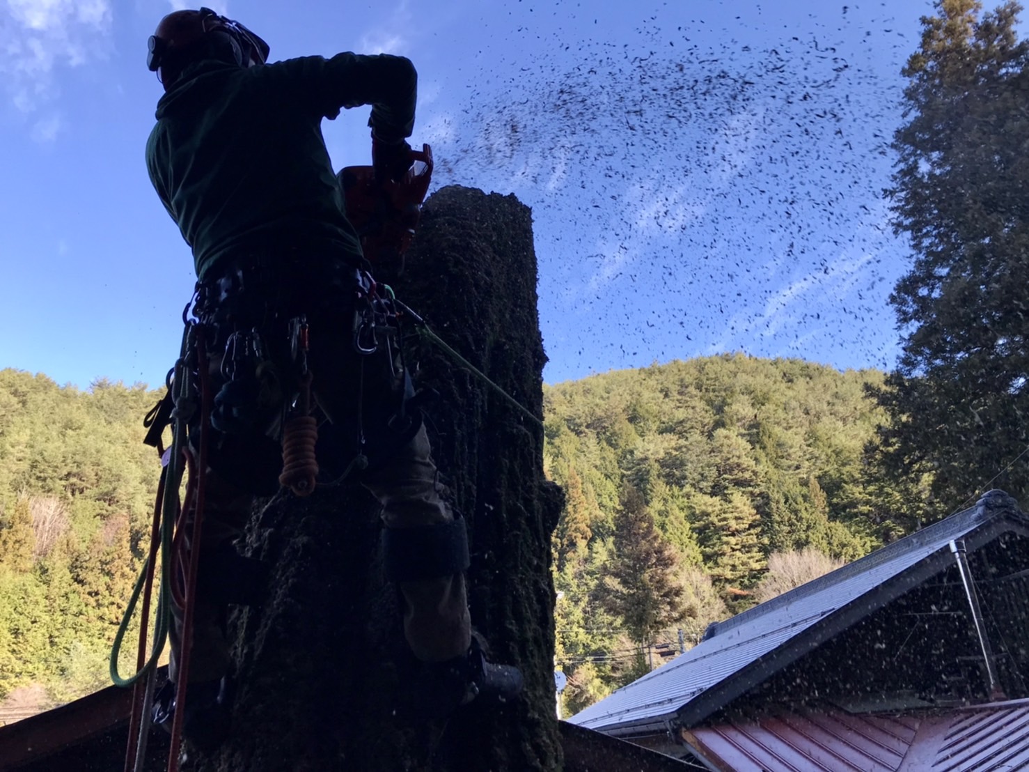 �X�O�����`�F�[���\�[