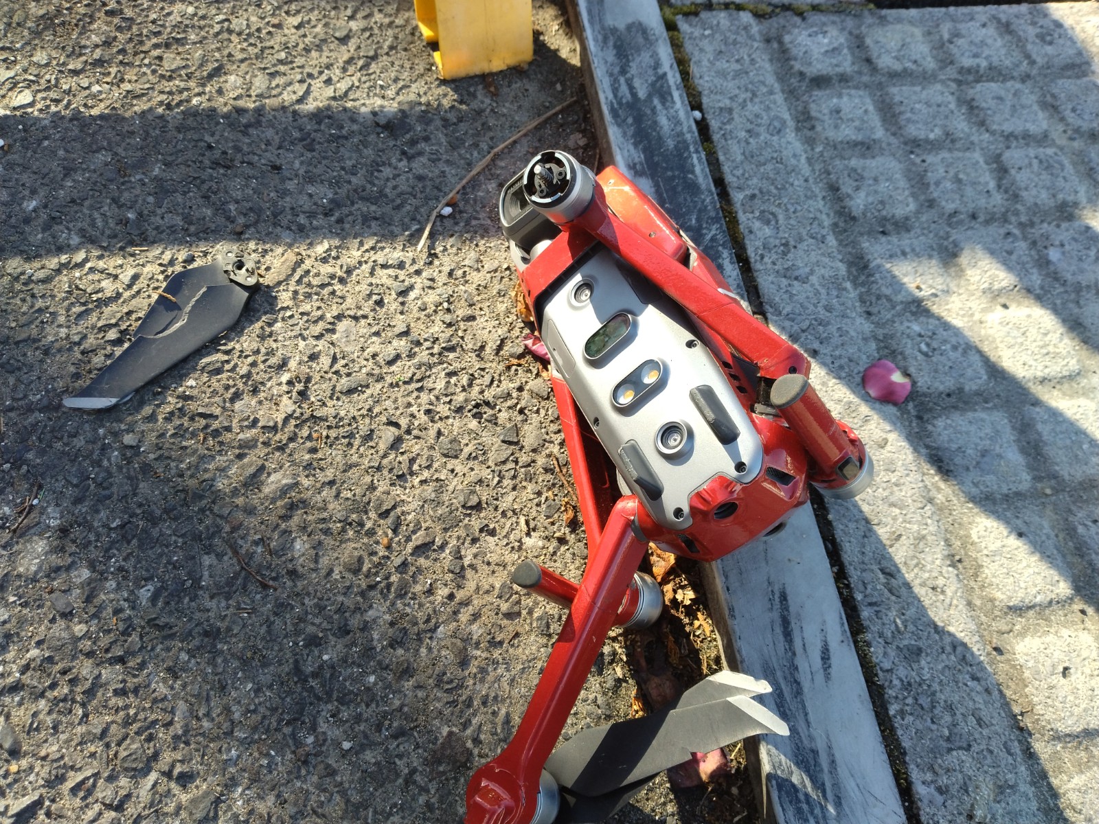 �h���[���T���T