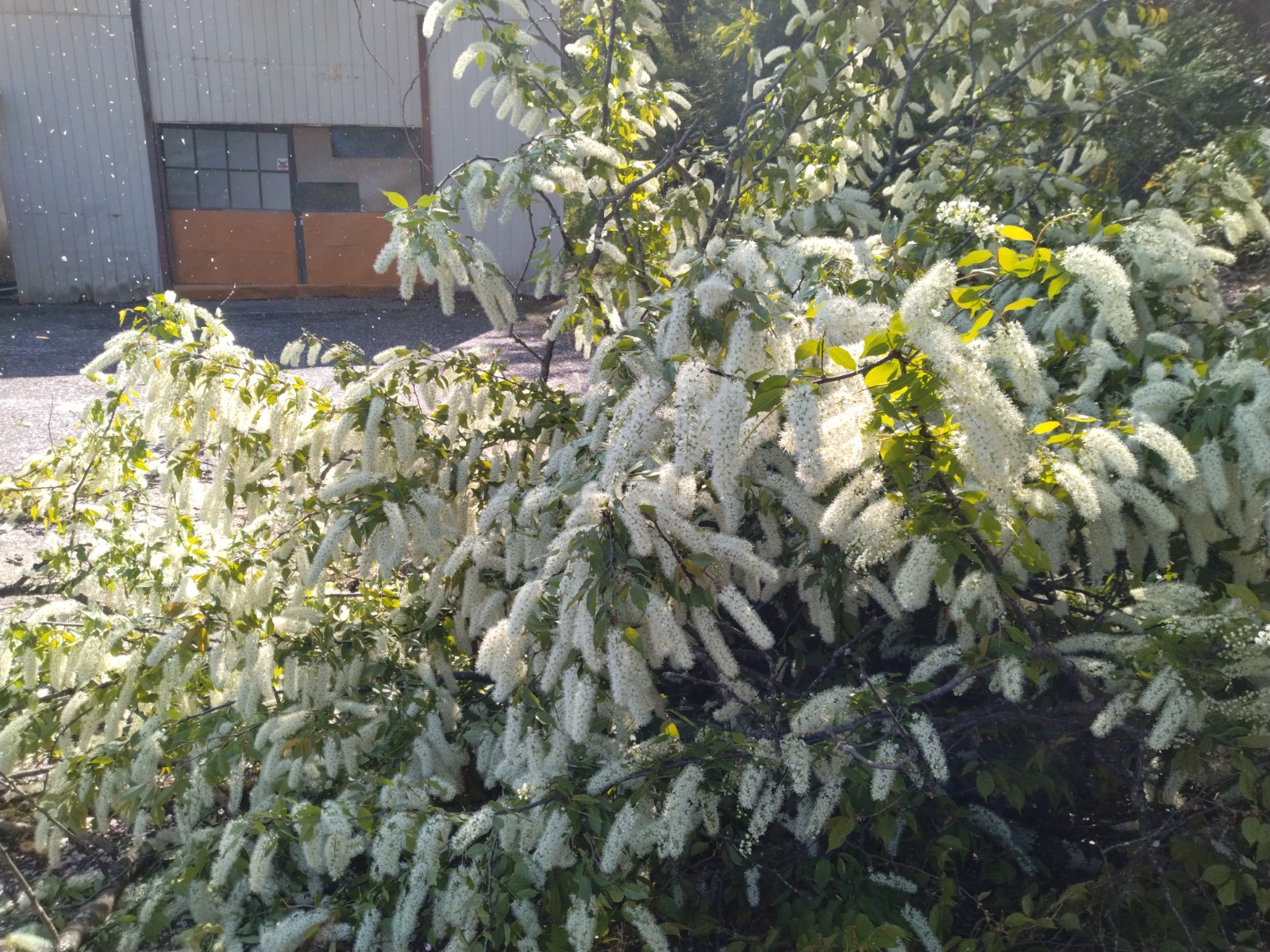 �E���~�Y�U�N��