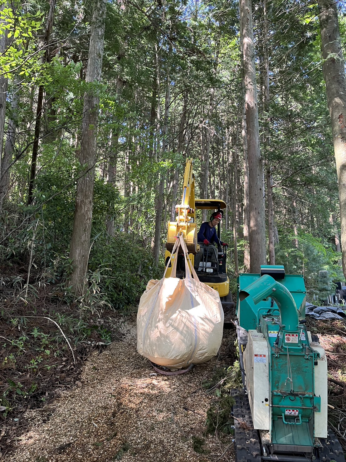 �`�b�v���o