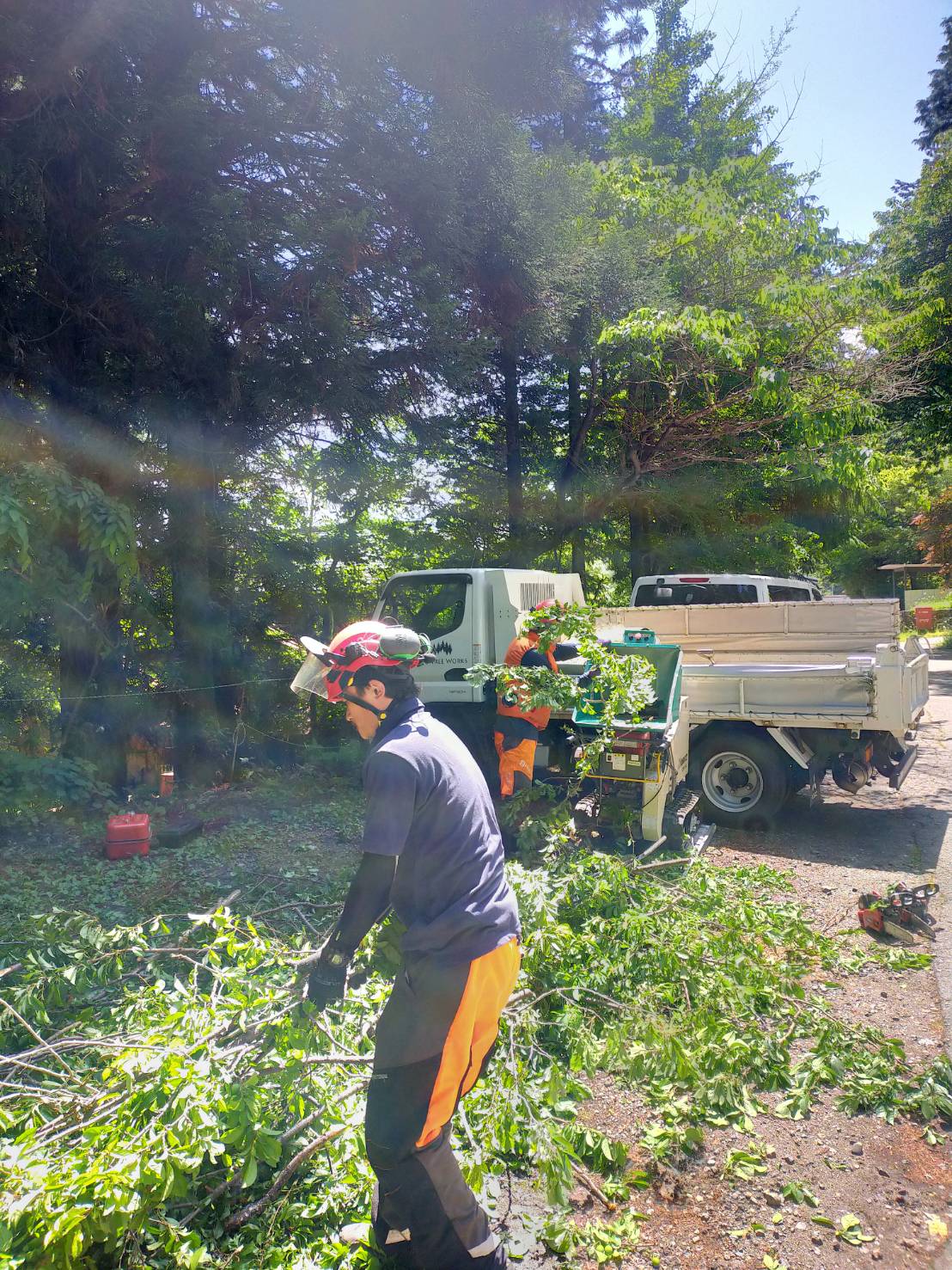 �`�b�v����