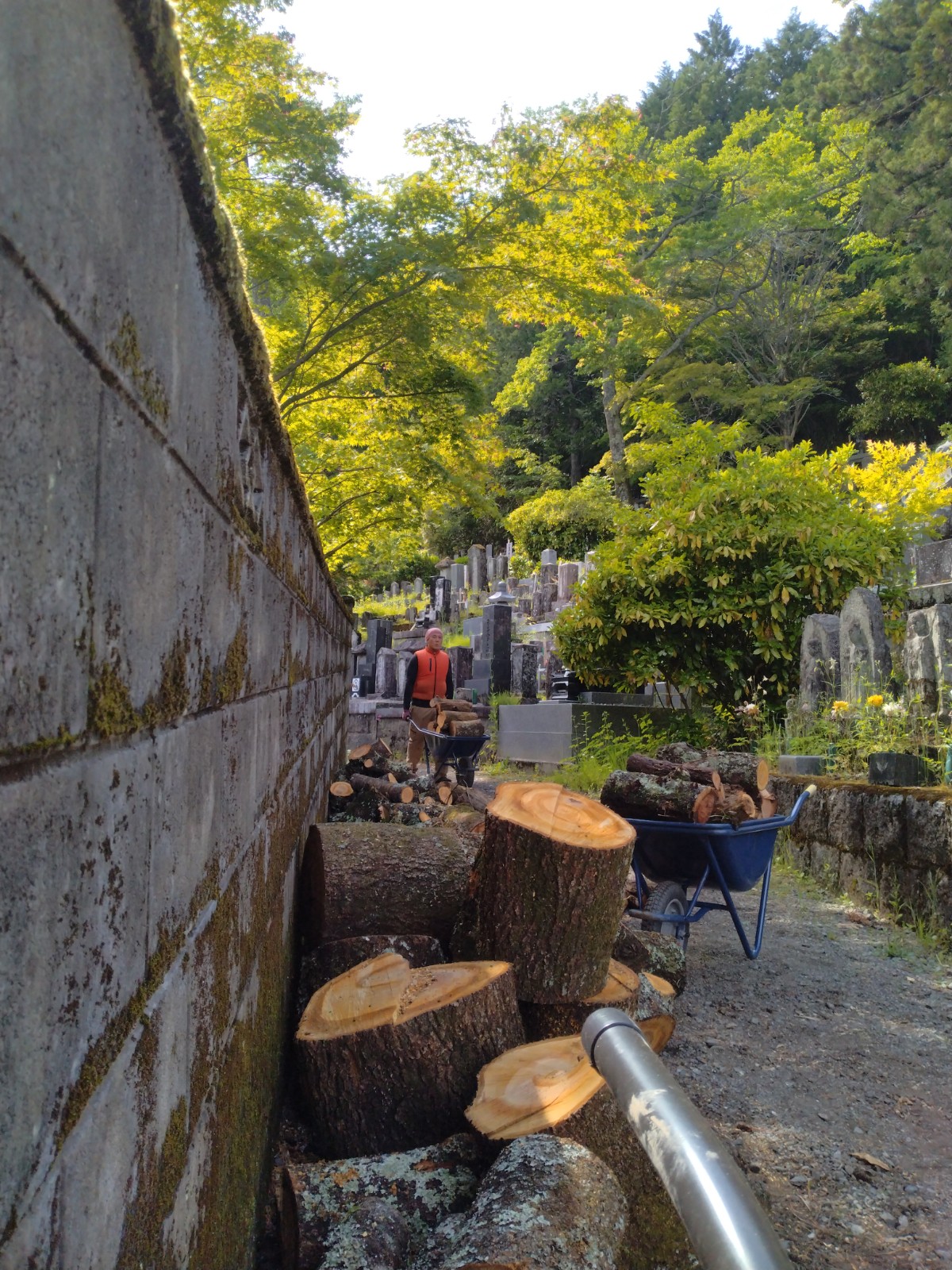 �����o�P