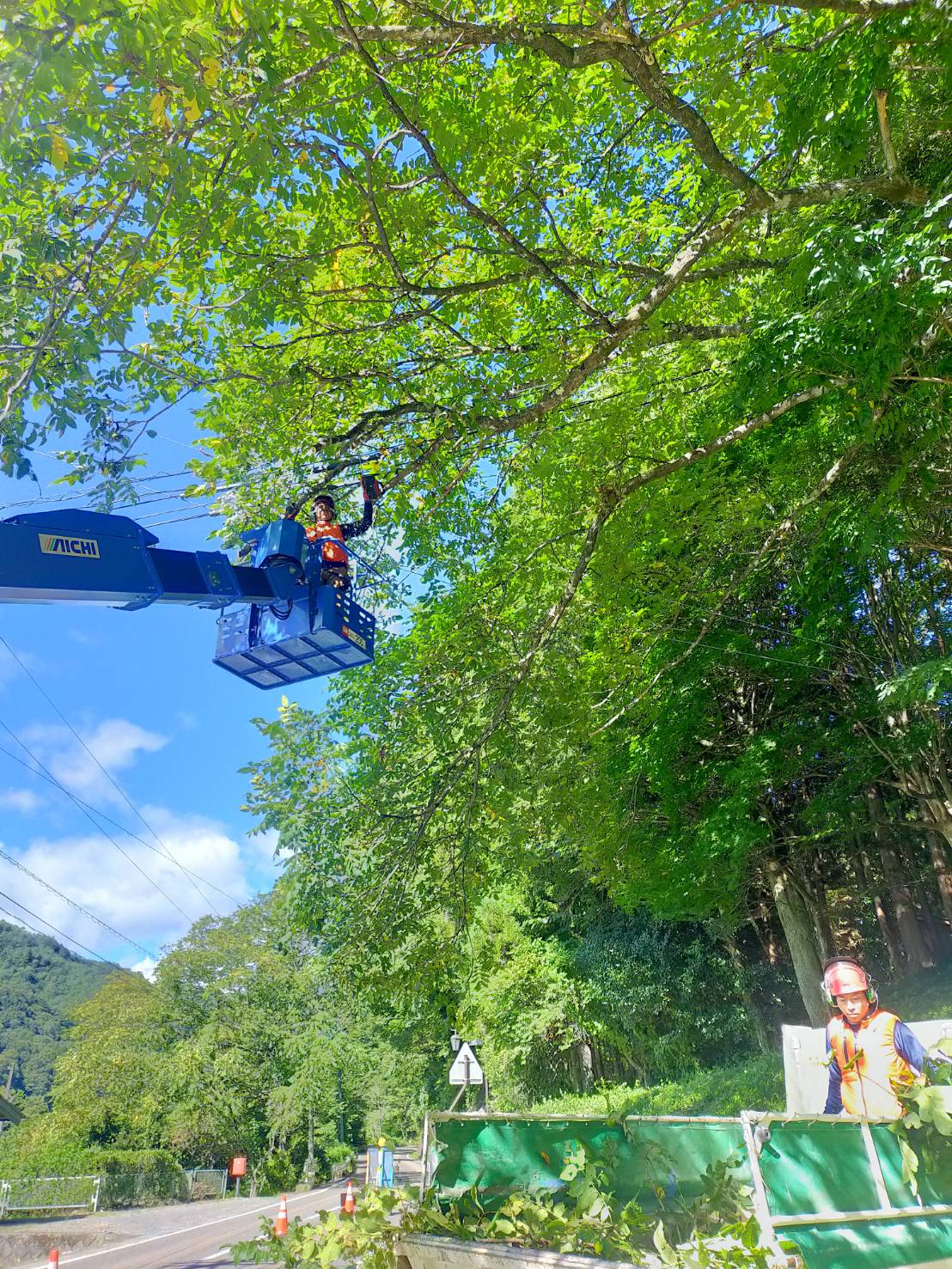 ������ƎԂP