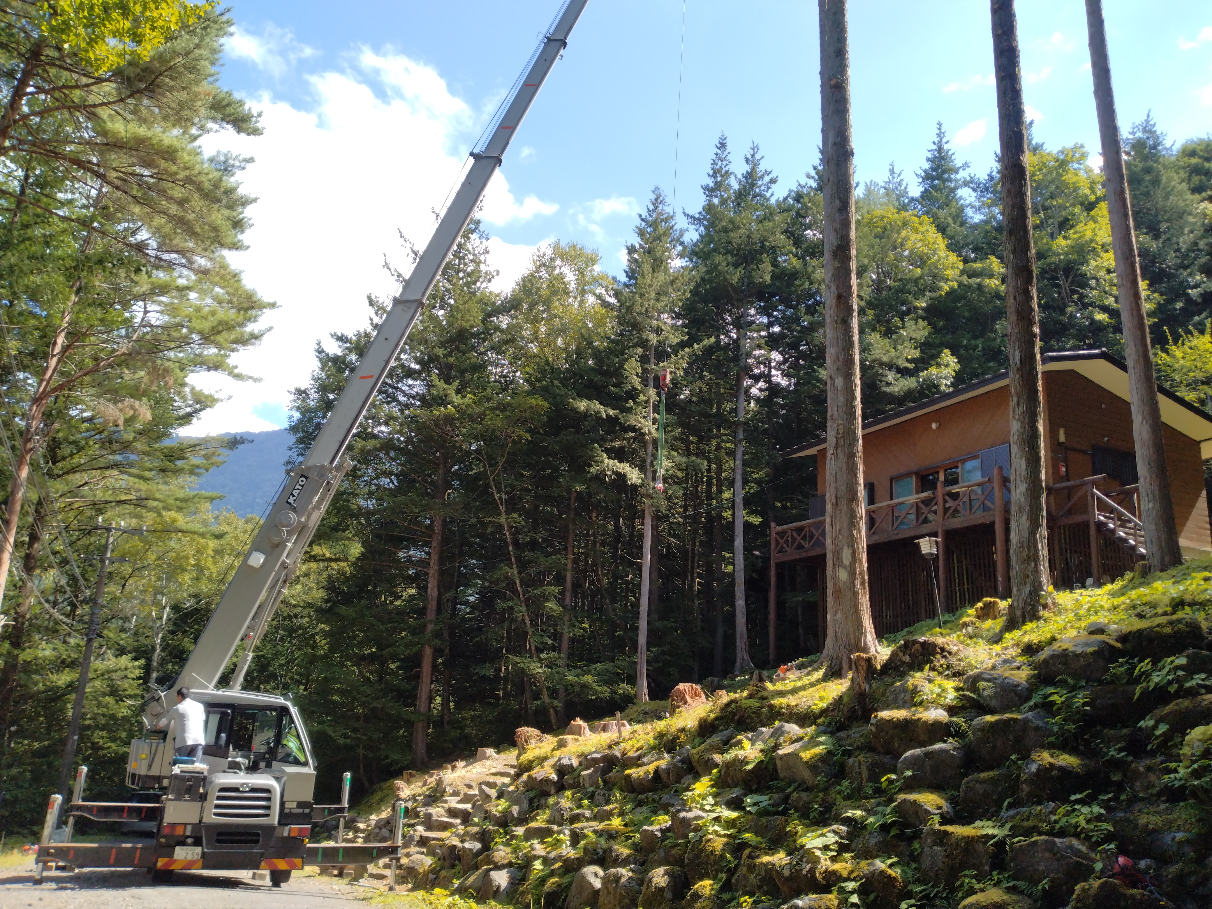 ���t�^�[�N���[���P