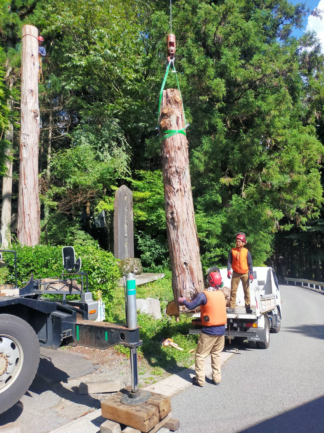 �͂�q�m�L�S