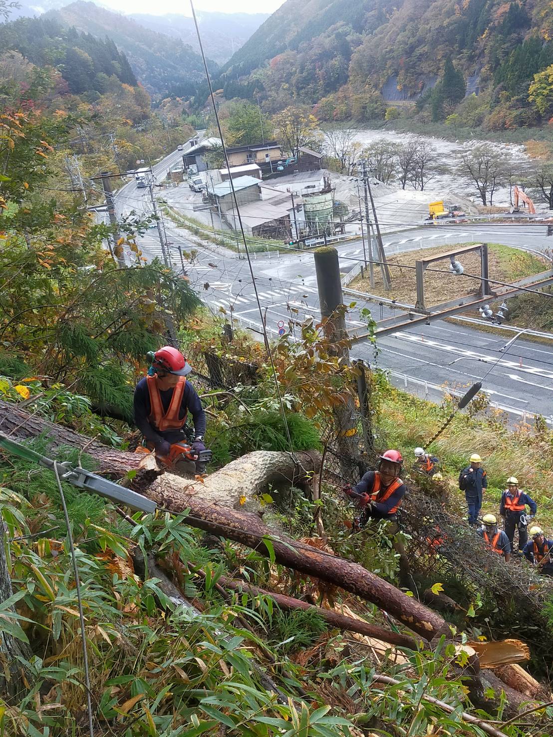 �|�؏����Q