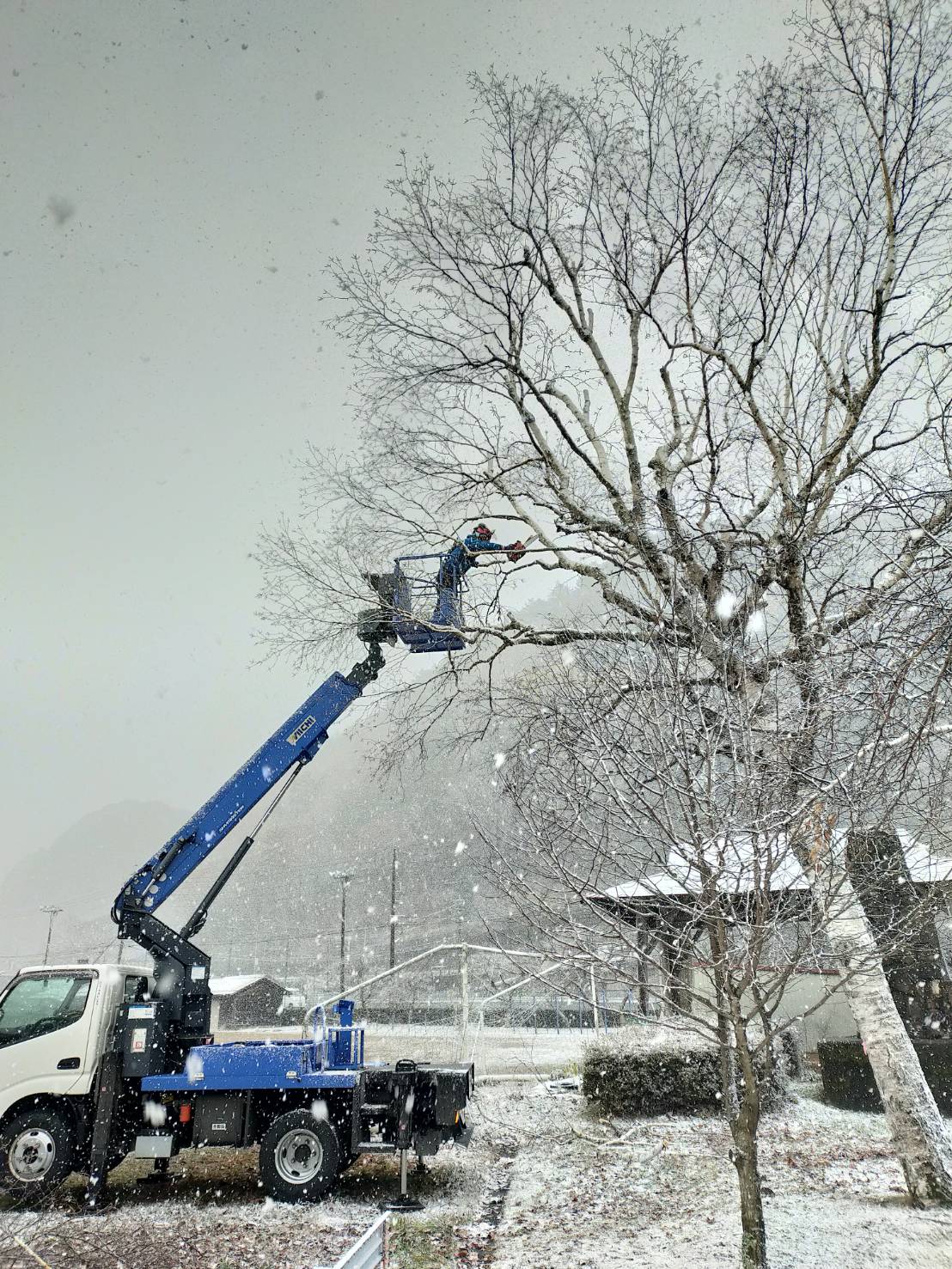 ������Ǝ�