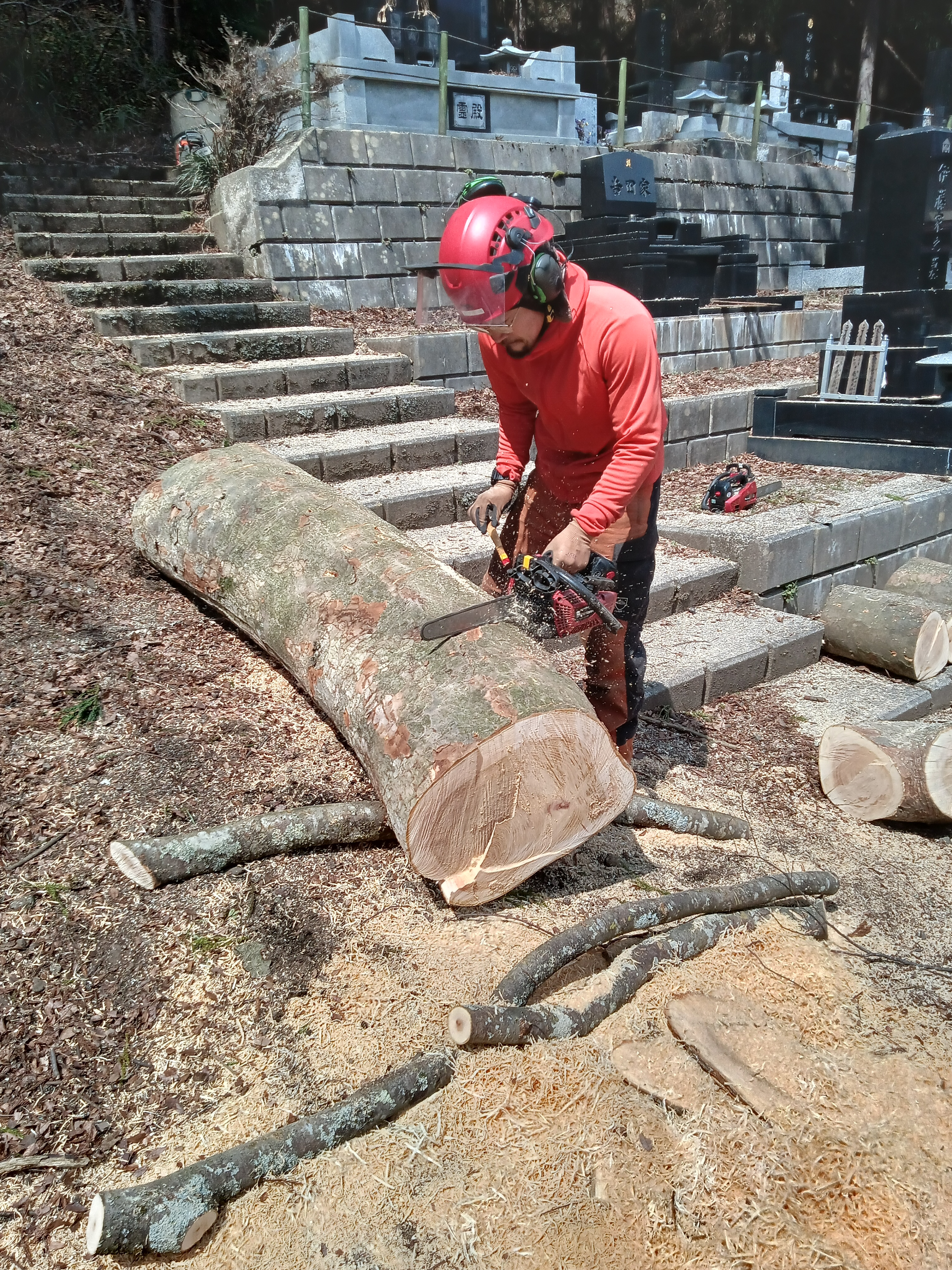 �P���L�̑�؂R