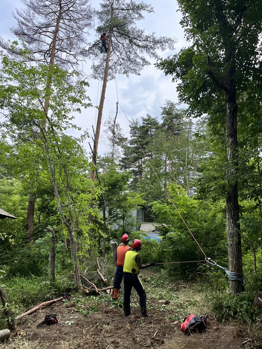 ���M���O