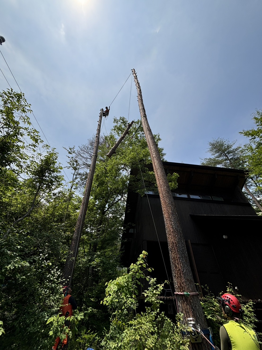 ���M���O�Q