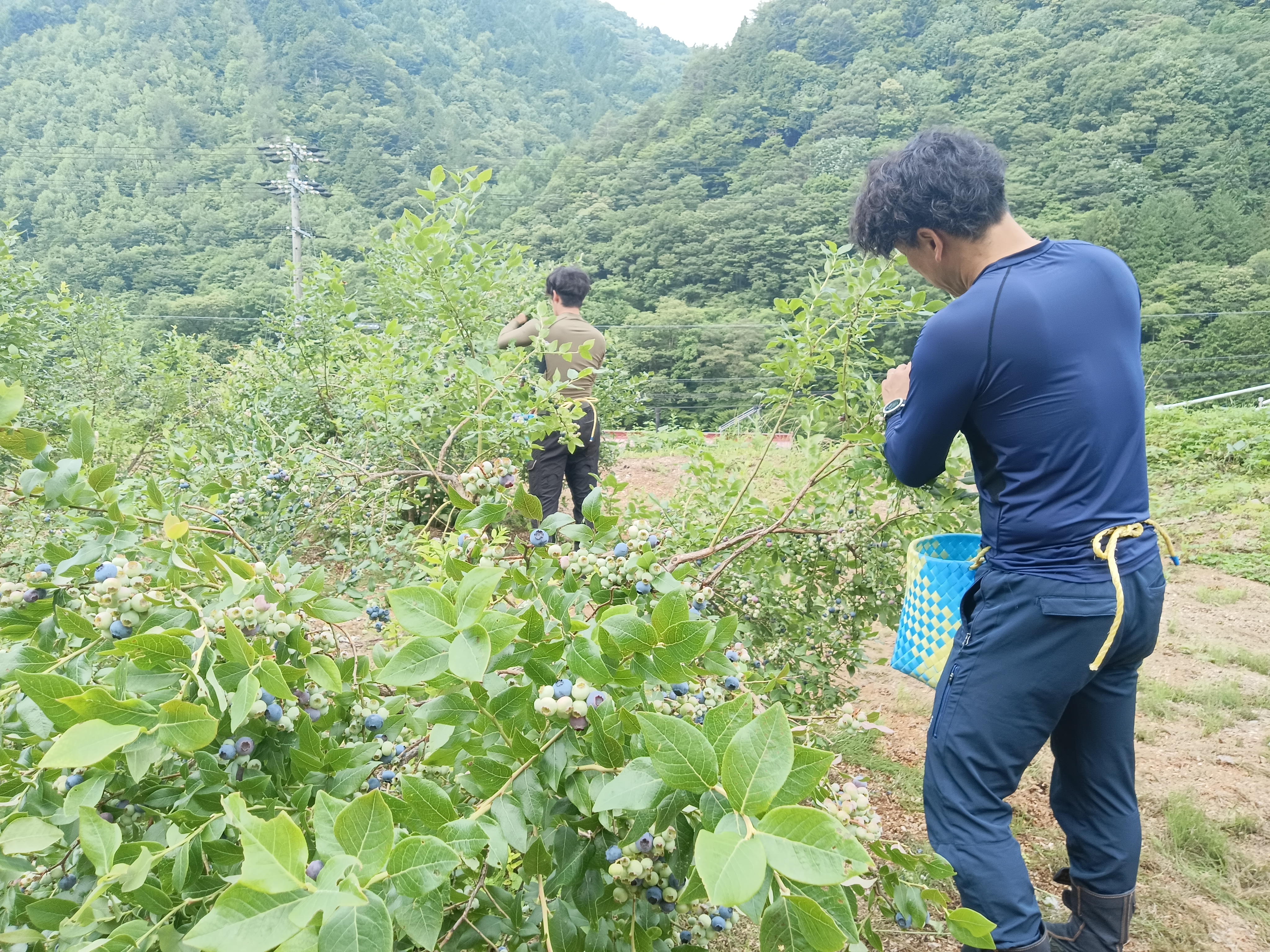 �u���[�x���[���n