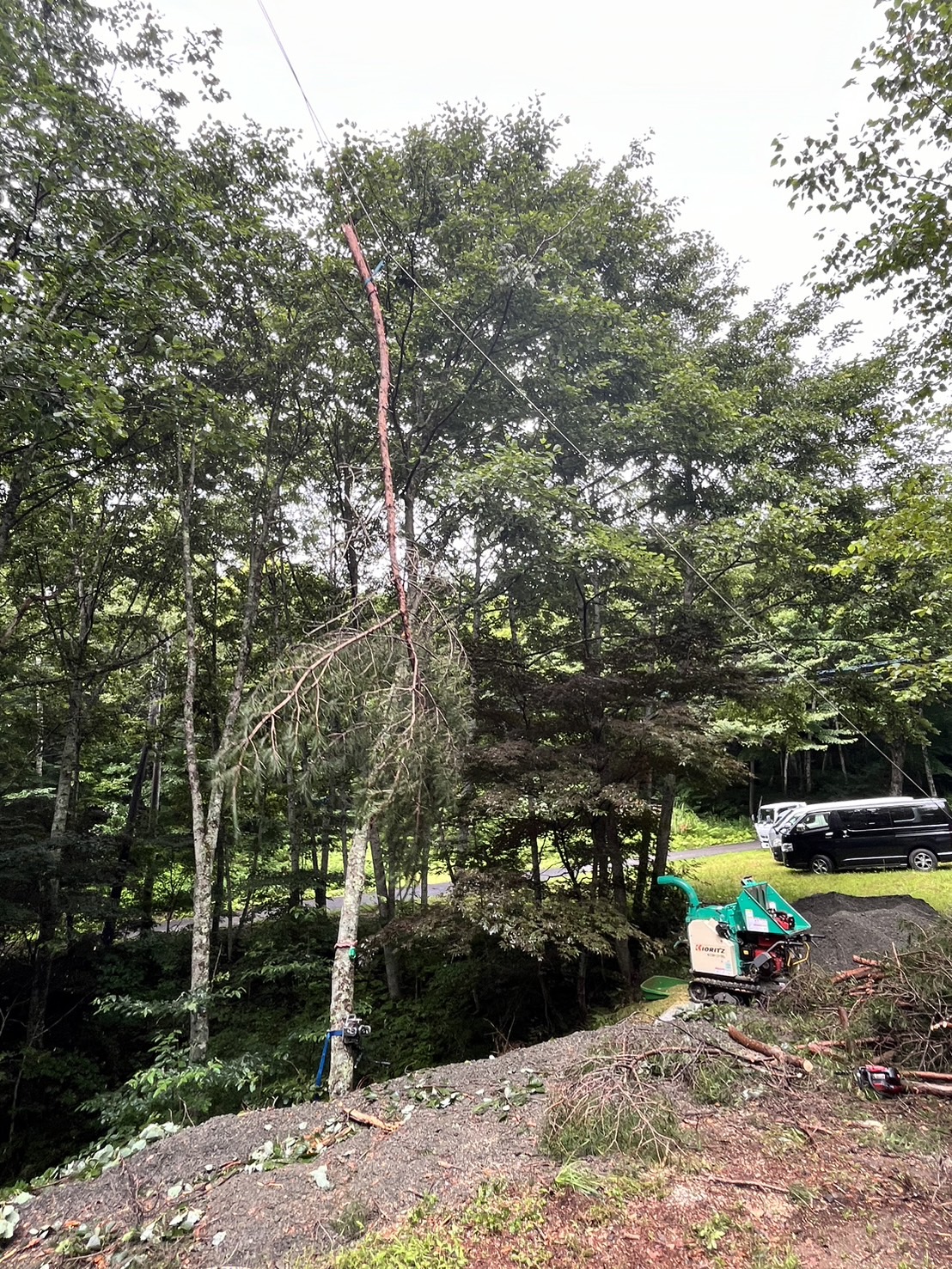 �X�s�[�h���C��