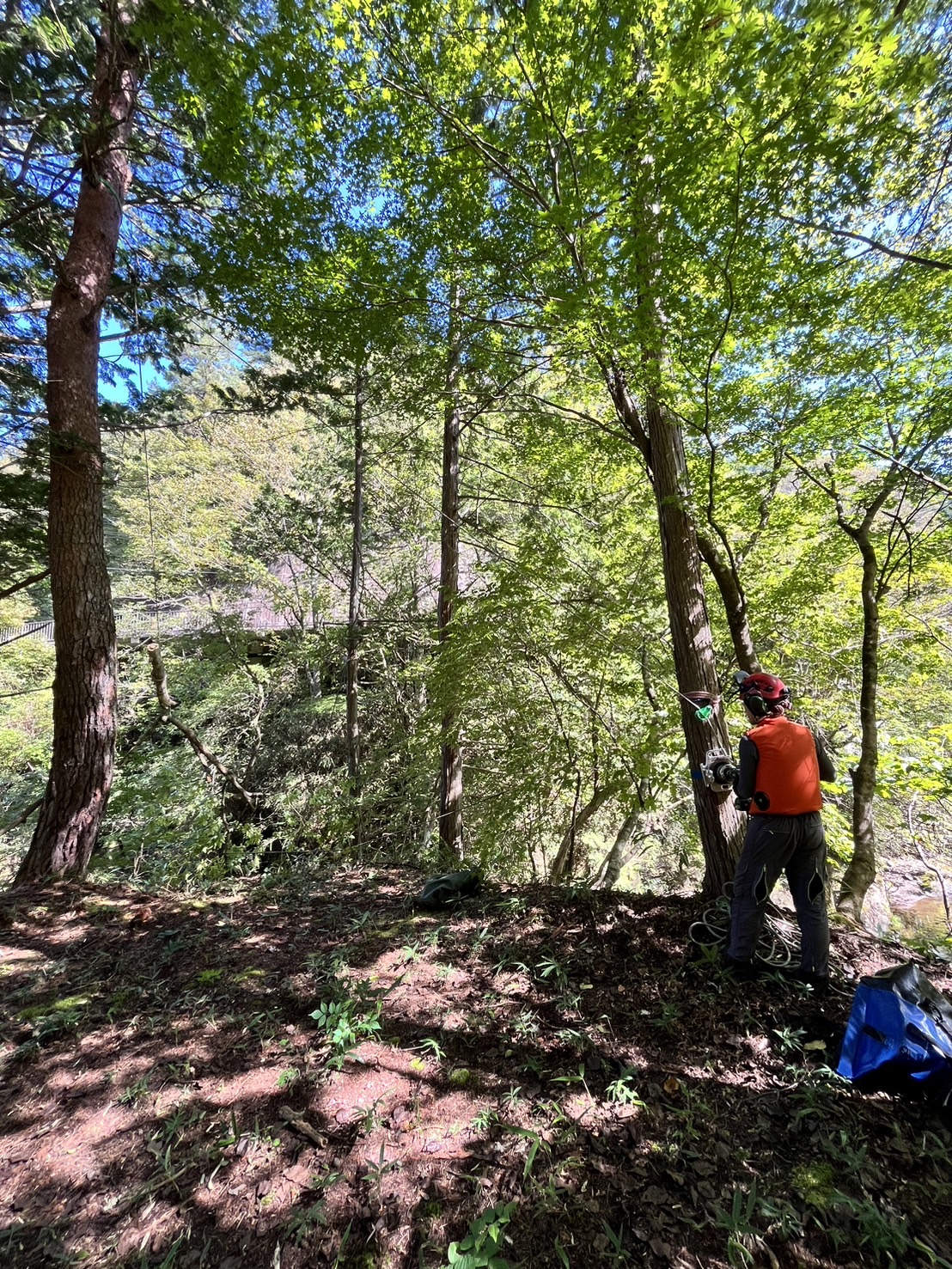 �G���t�@���g�E�B���`