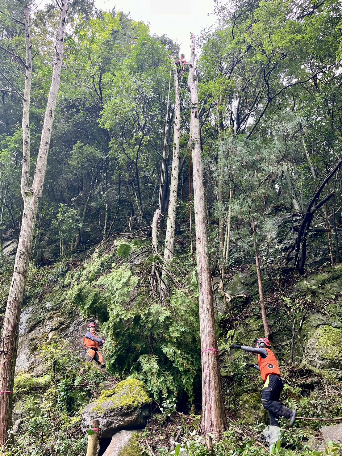 ���M���O