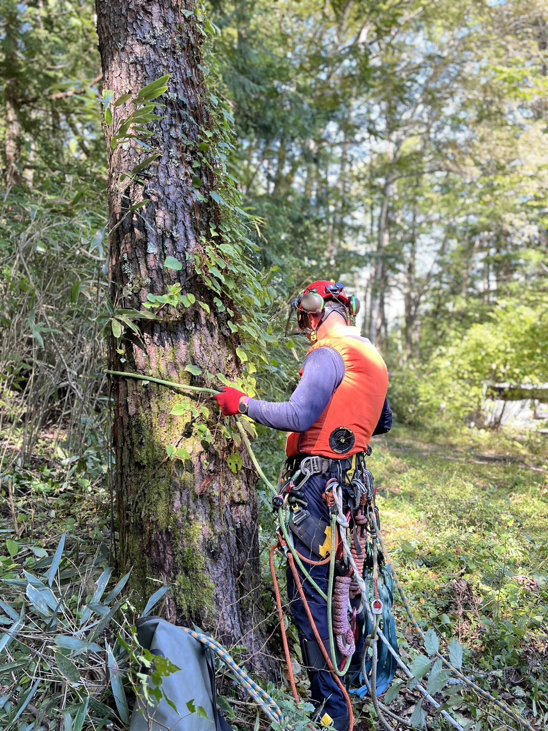 �N���C�~���O�M�A