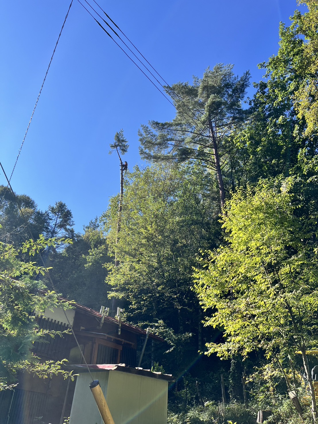 �g�b�v�J�b�g