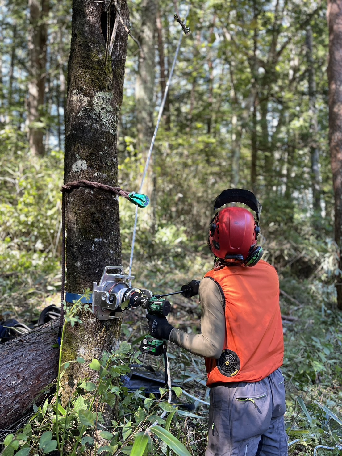 �G���t�@���g�E�B���`