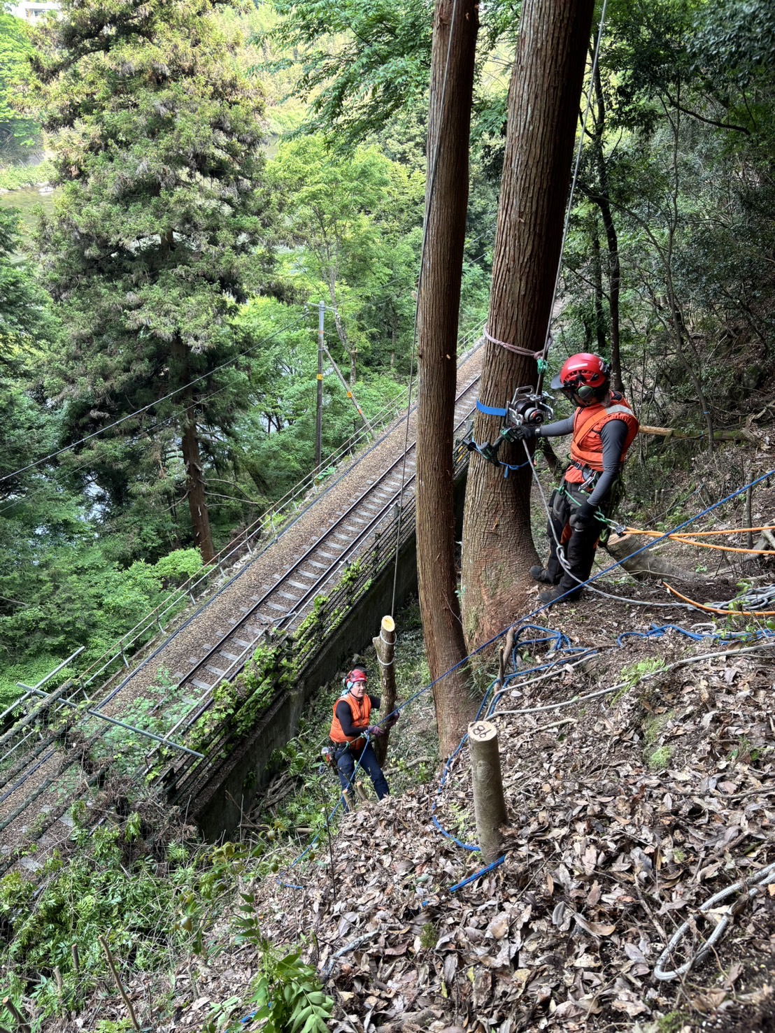 ���C�t���C��