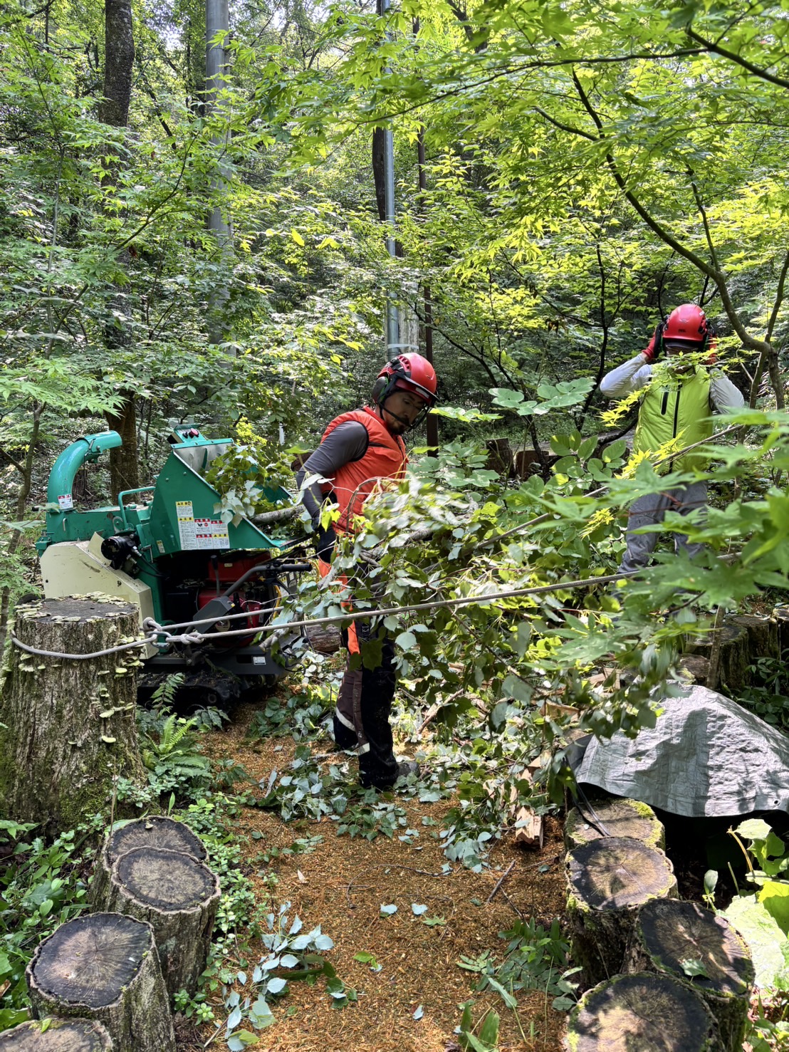 �`�b�v����