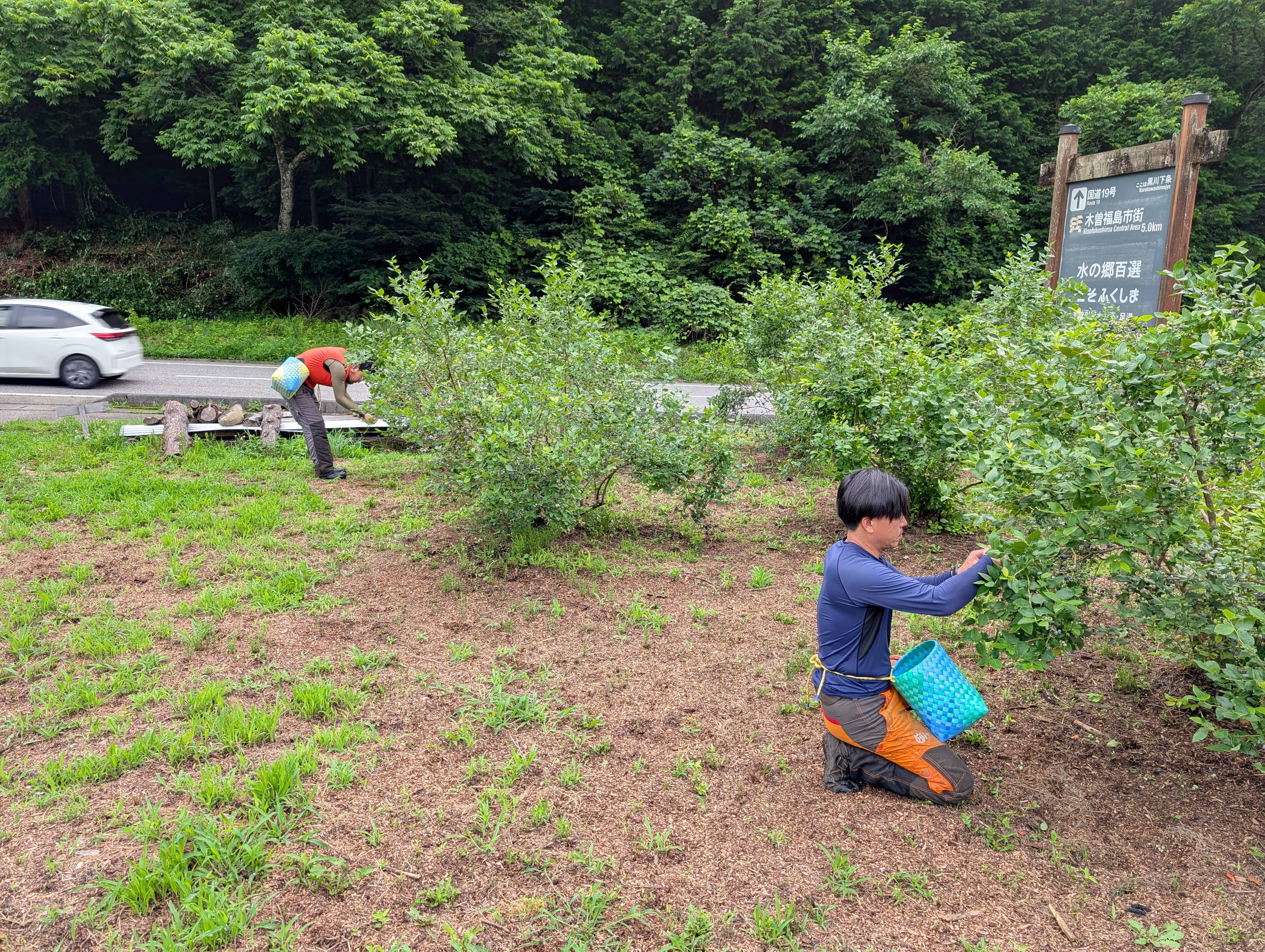 �u���[�x���[���n