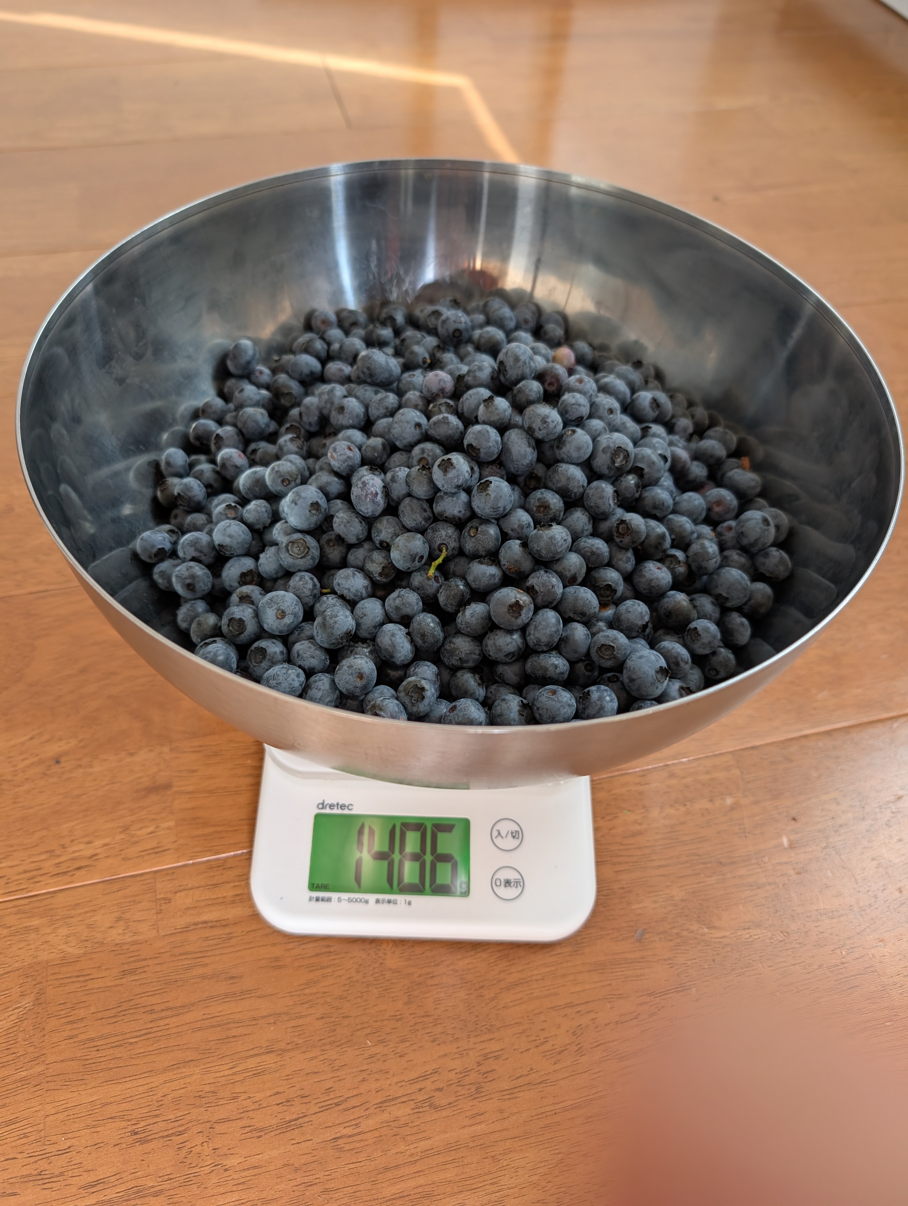 �u���[�x���[���n�Q