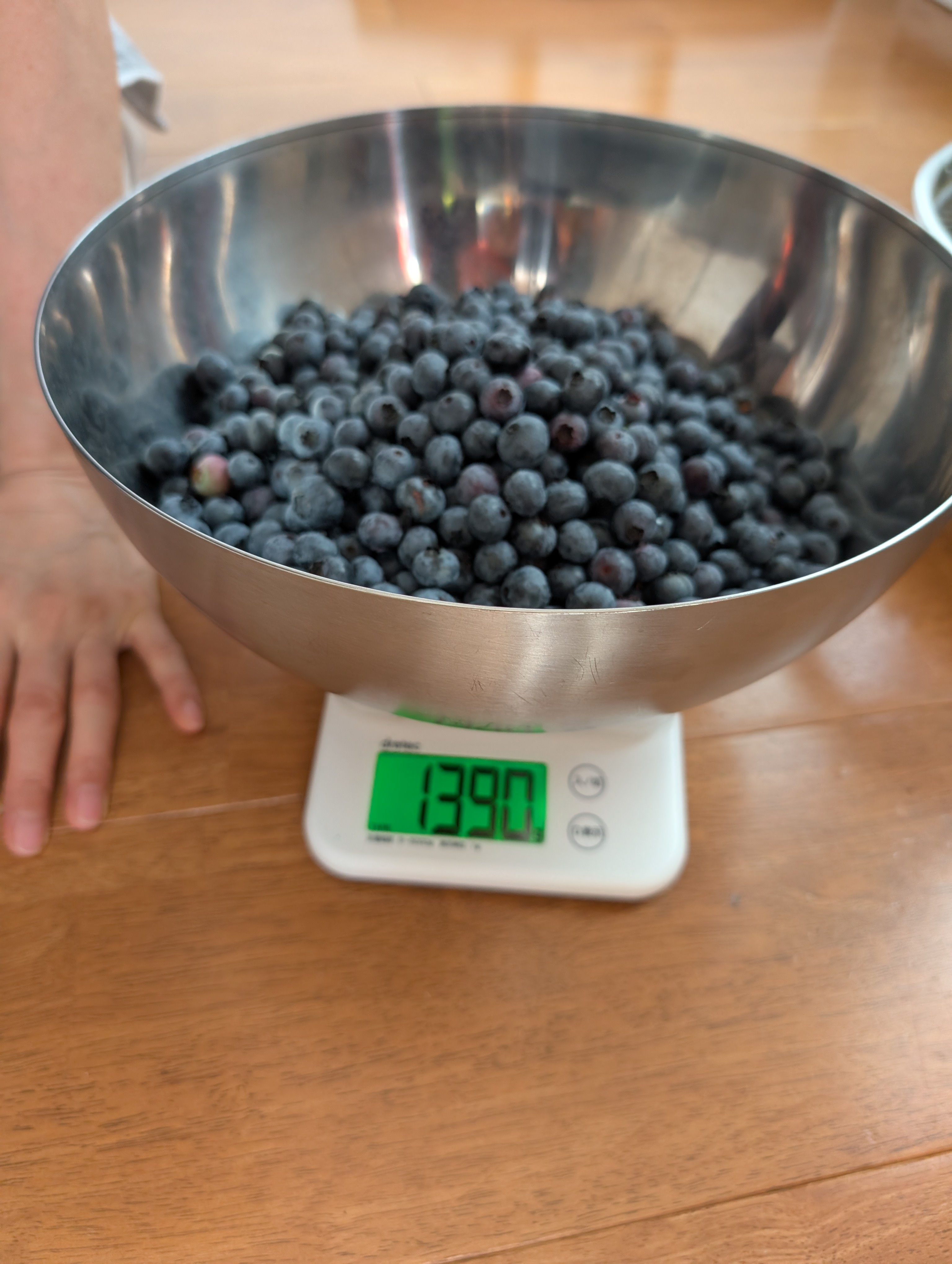 �u���[�x���[���n�R