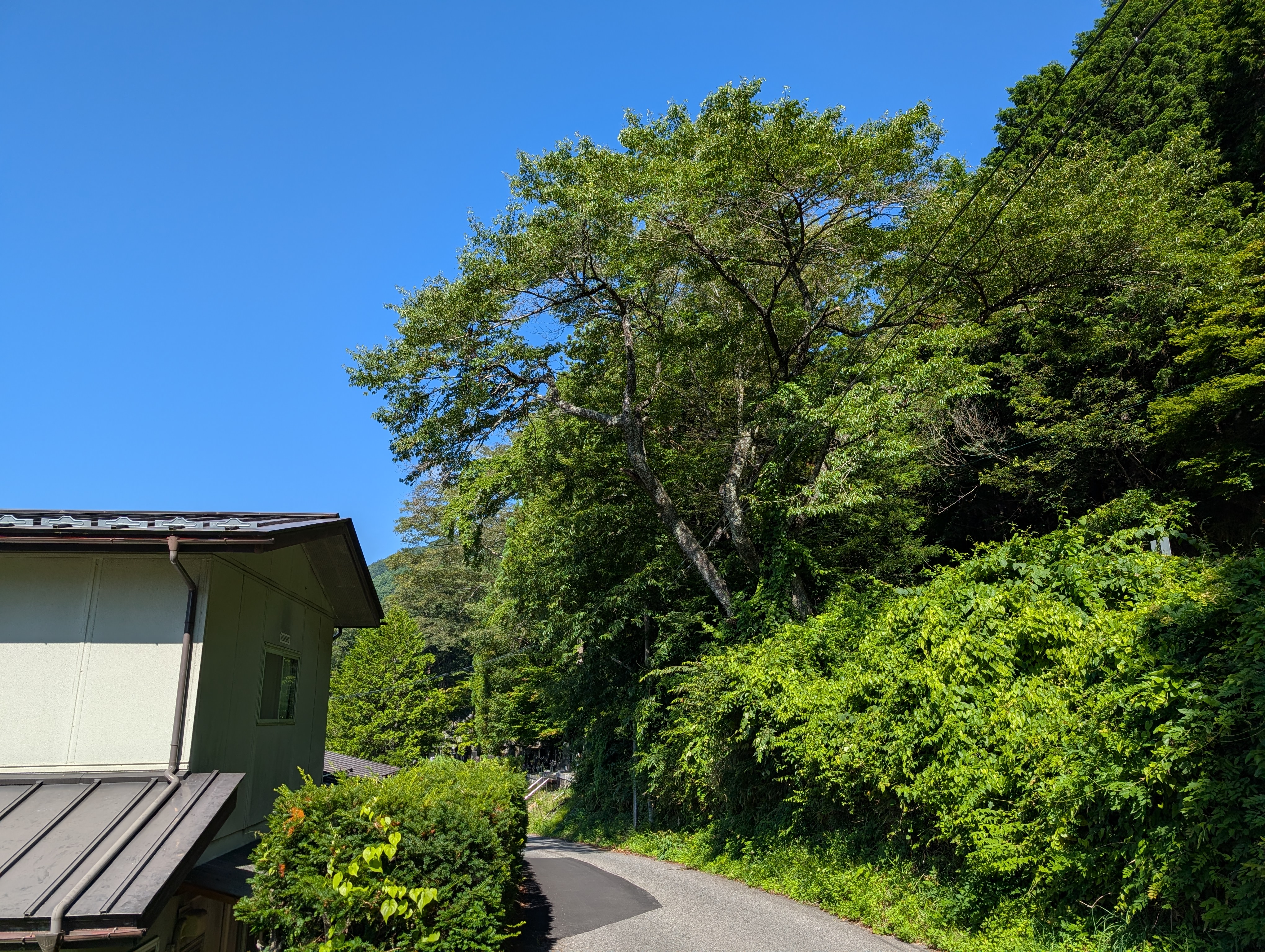 ���T���쉀