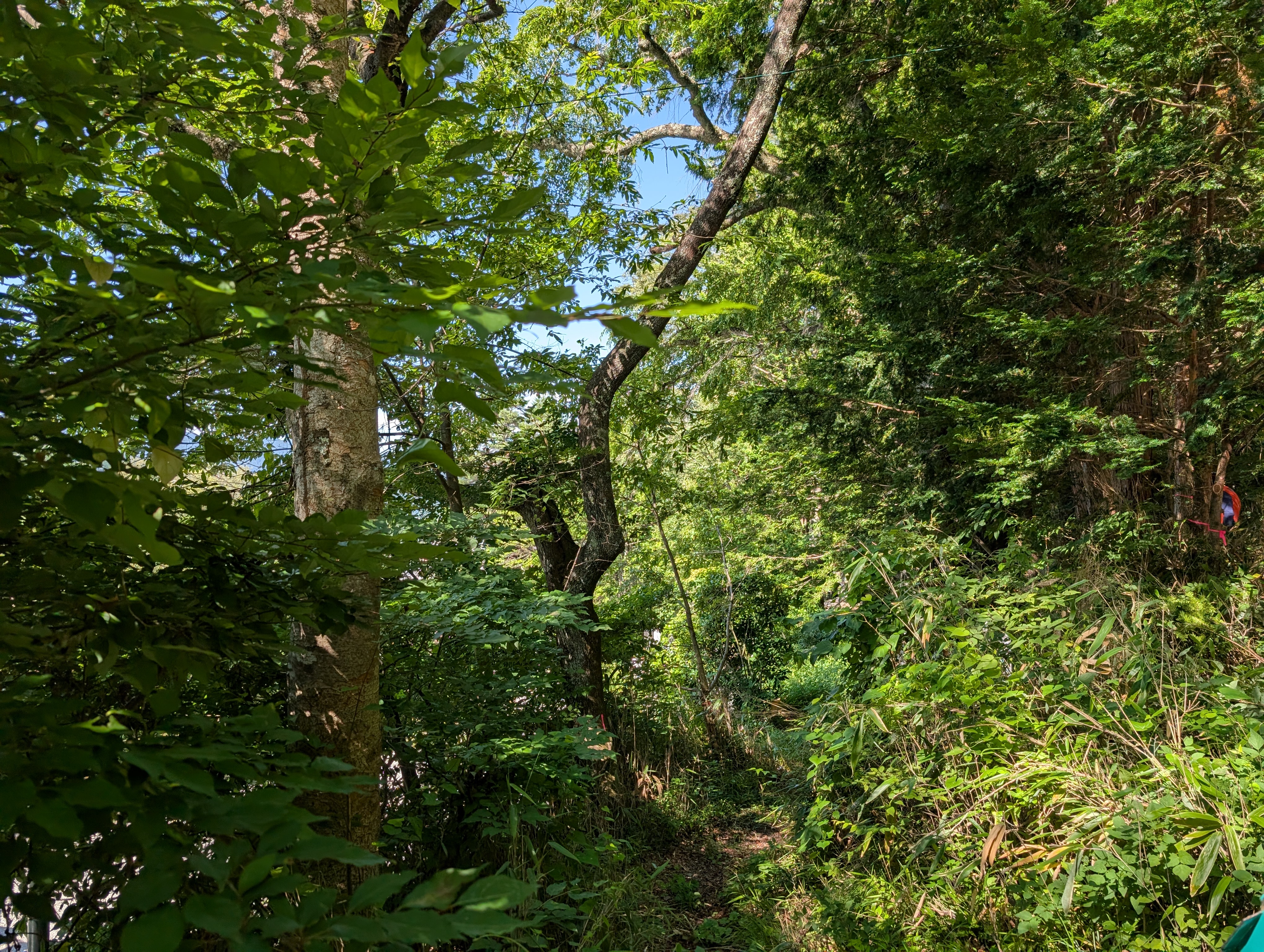 ���T���쉀�Q