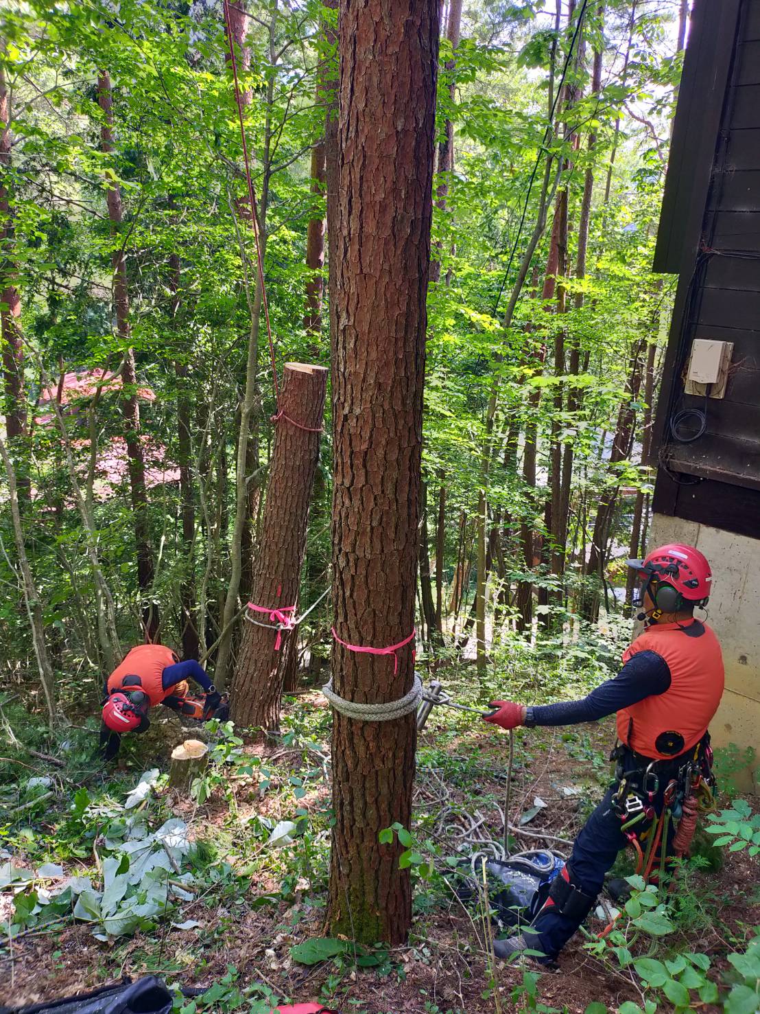 ���M���O