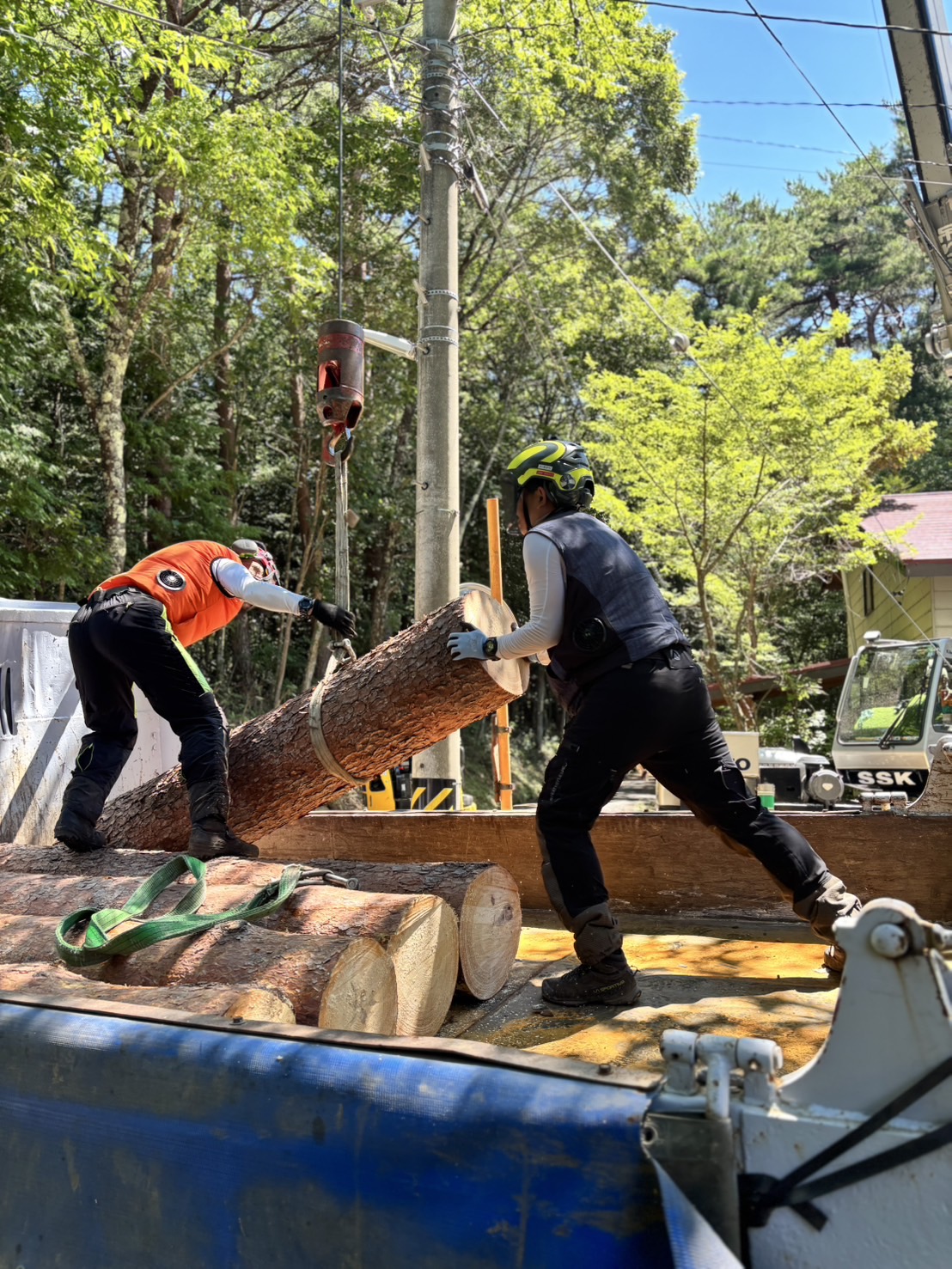 �T�����[�N�X