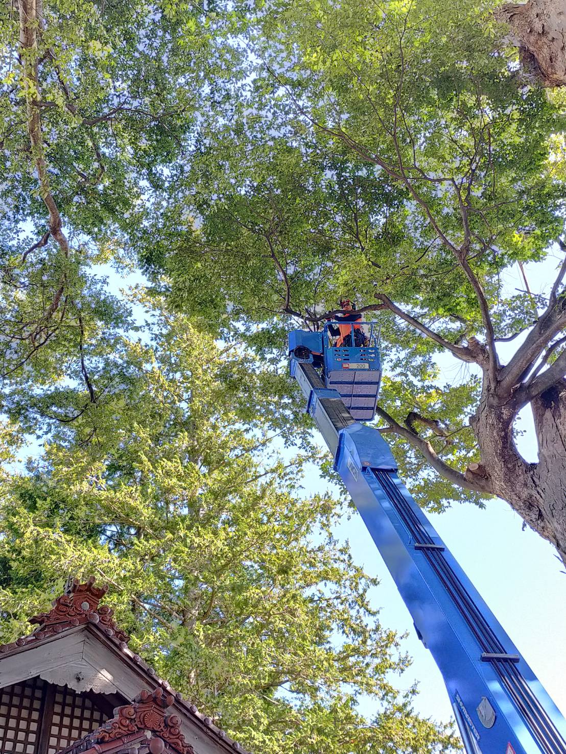 ������ƎԎ{�H