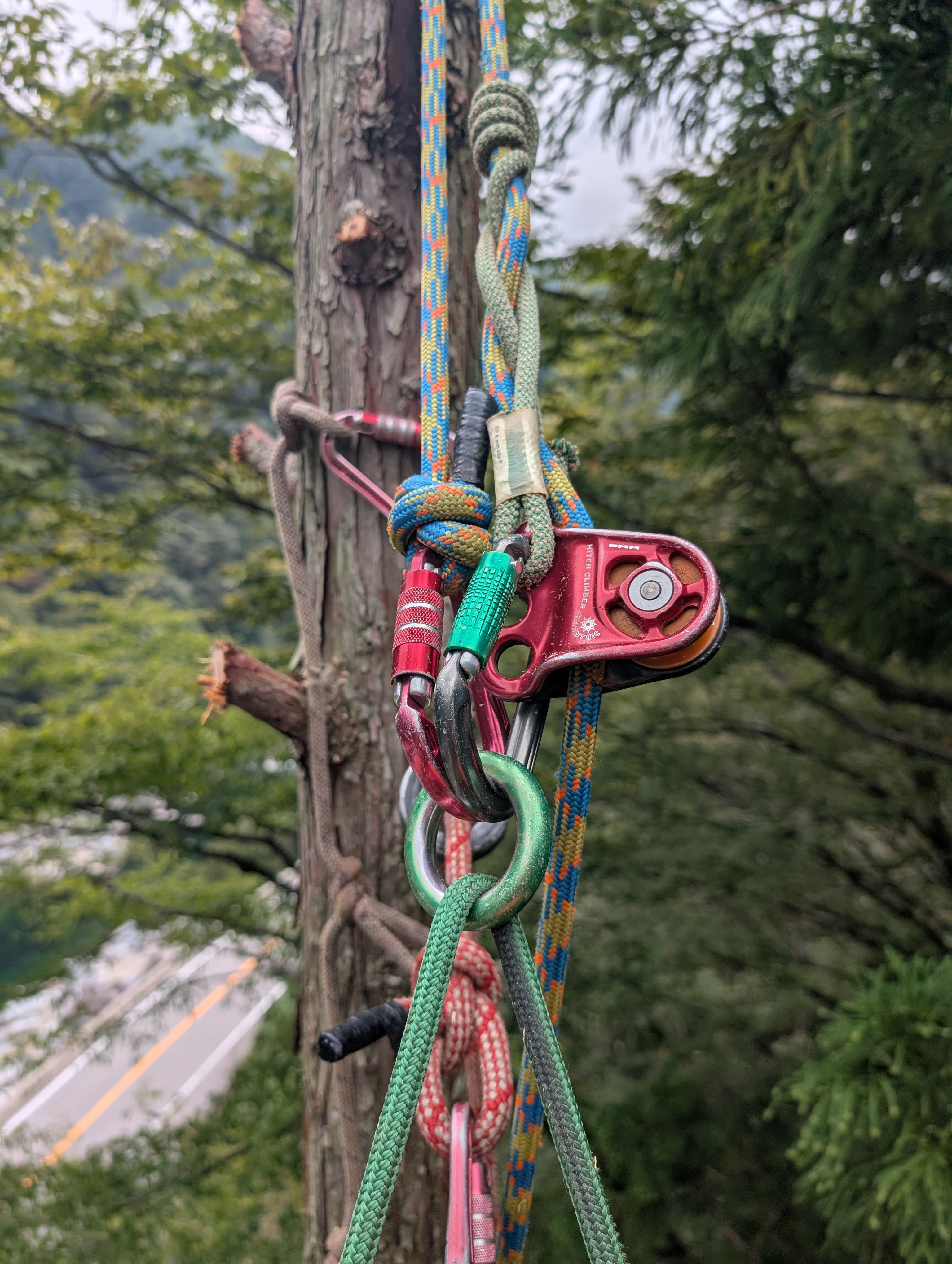 �|�W�V���i�[