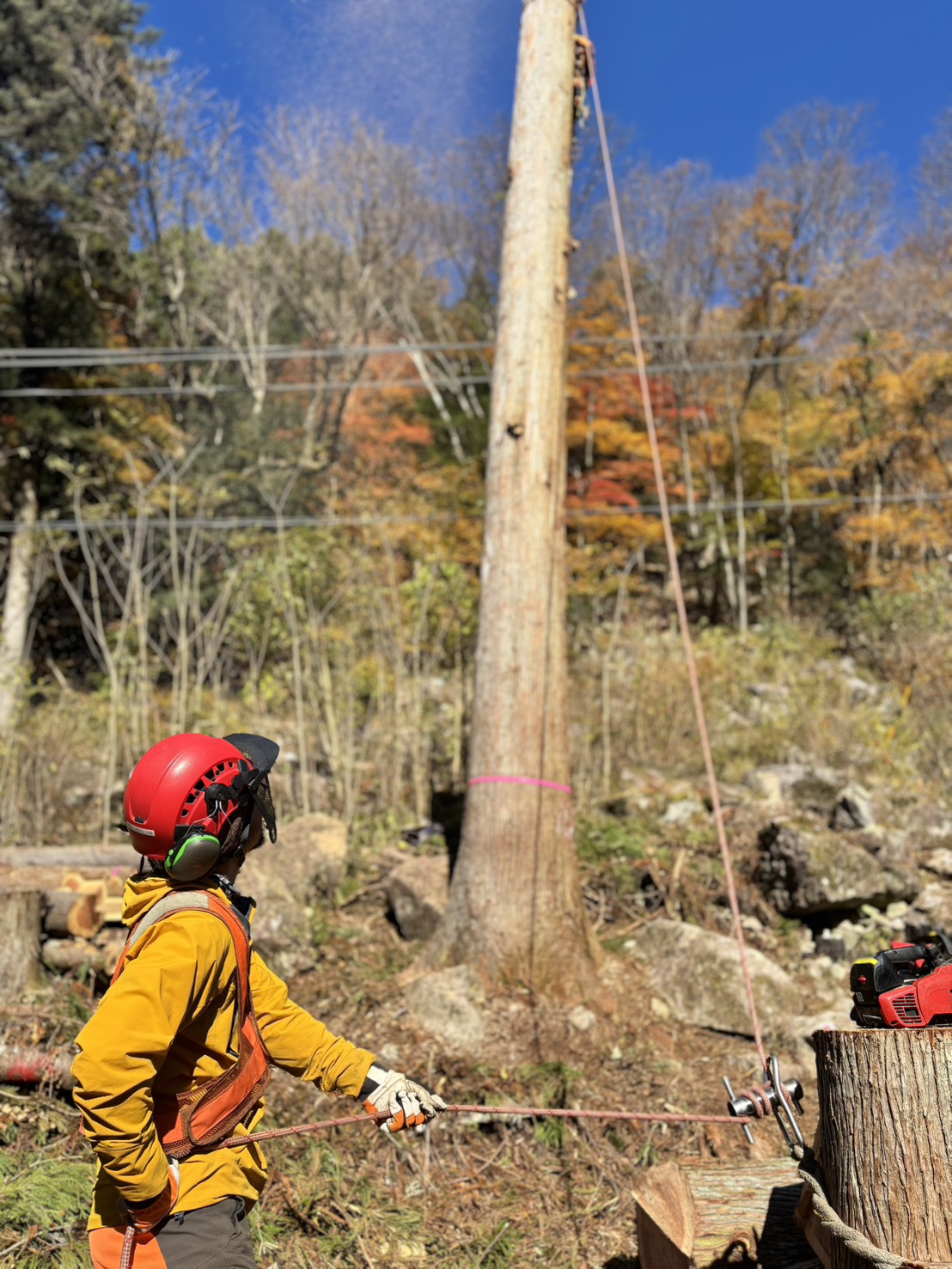 ���M���O