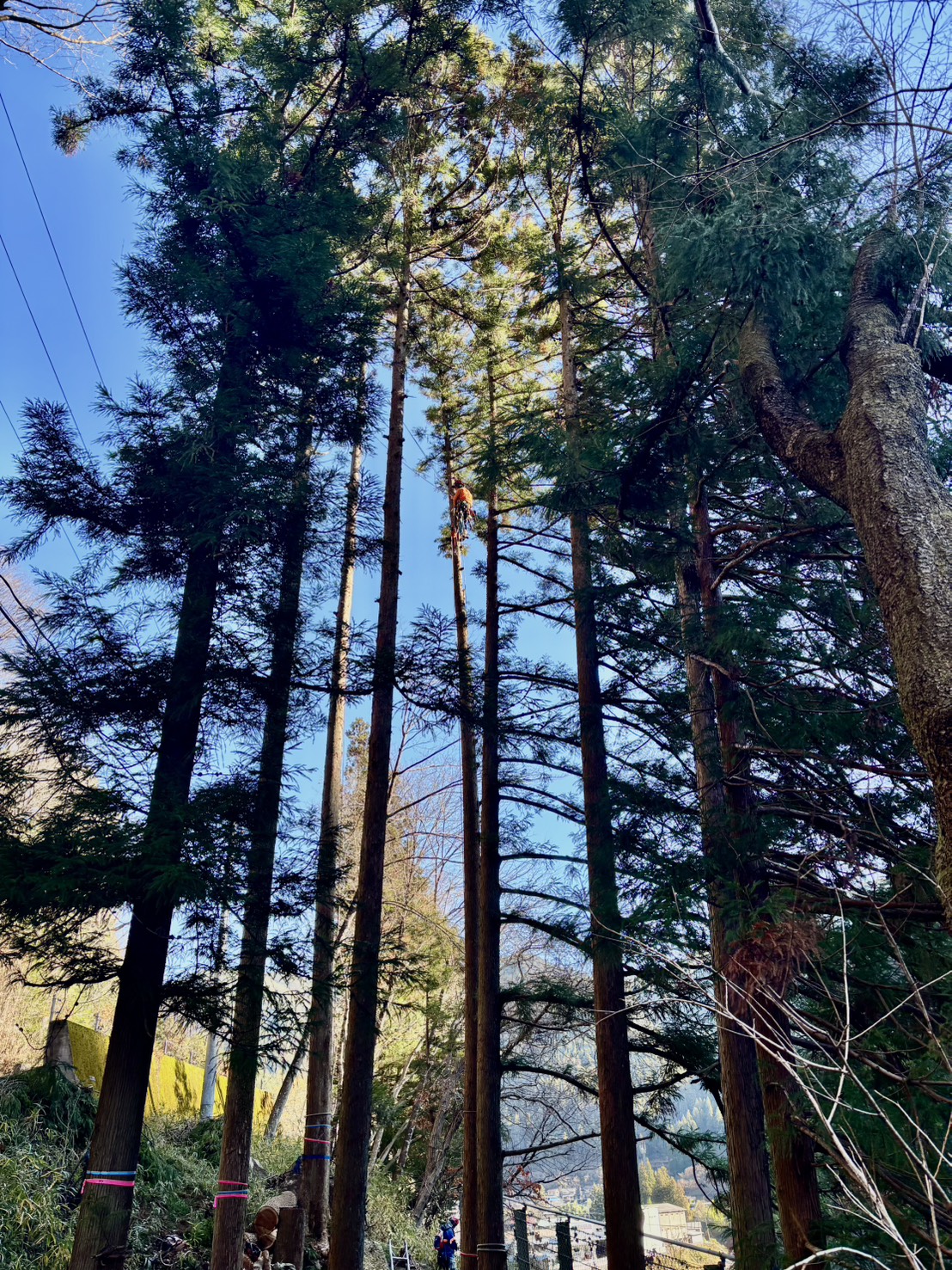 ���]�[��