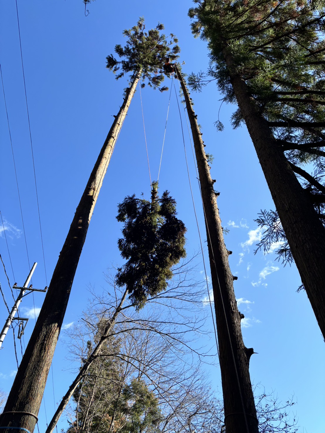 ���]�[���Q