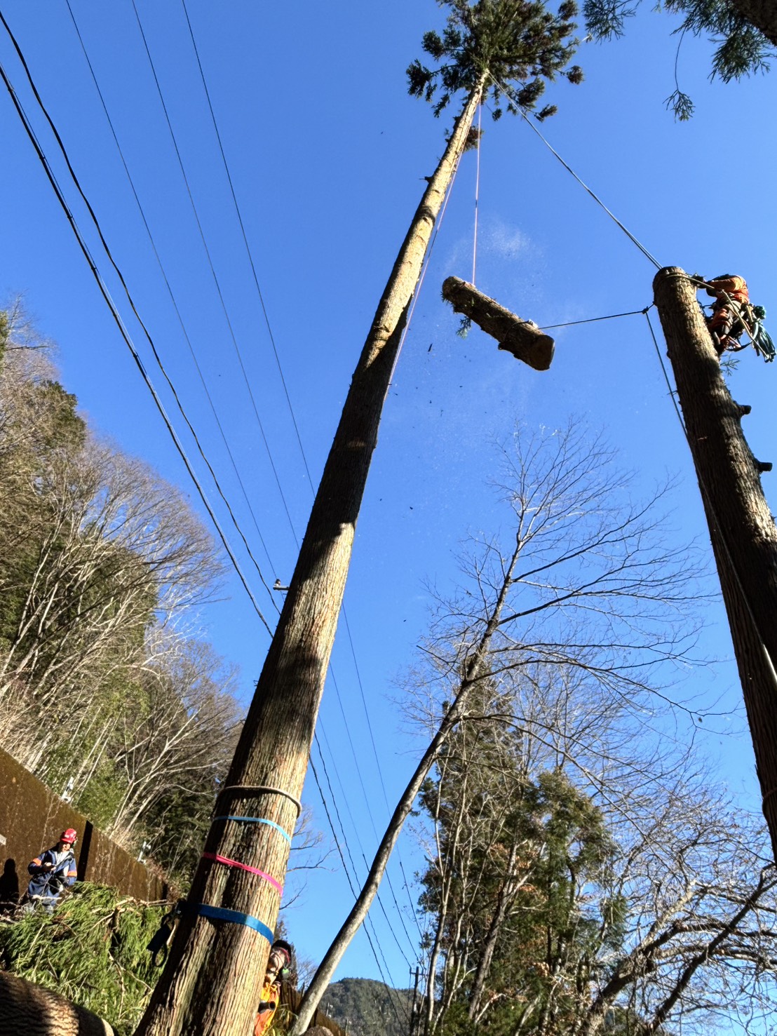 ���]�[���R