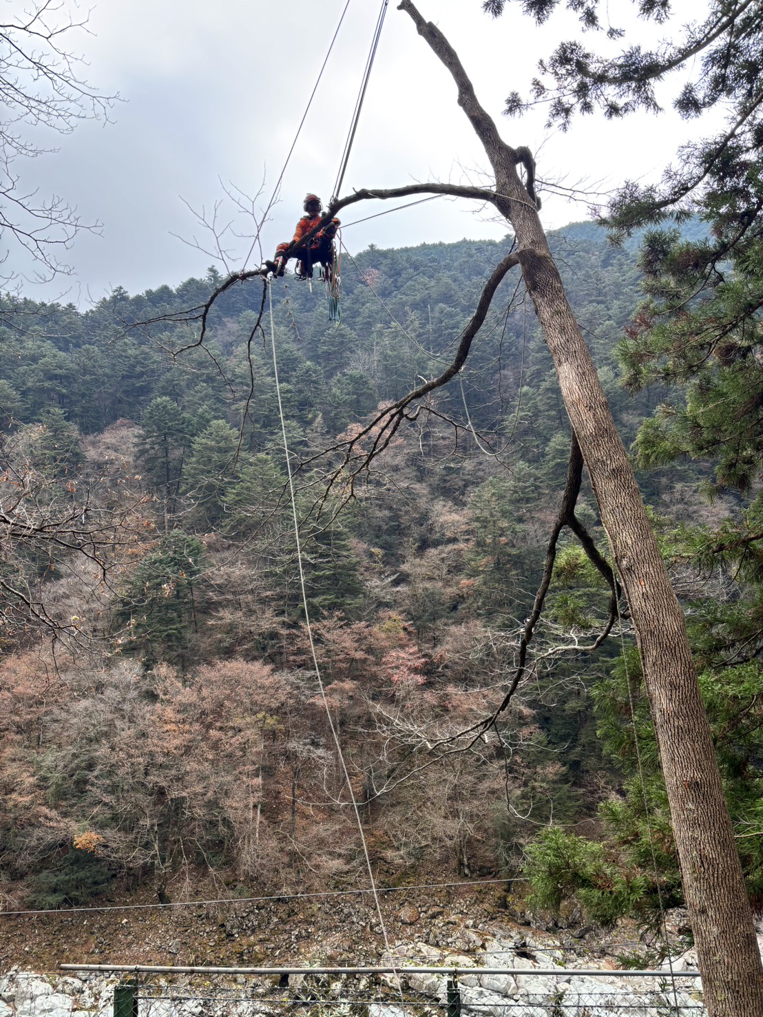 ���]�[���S