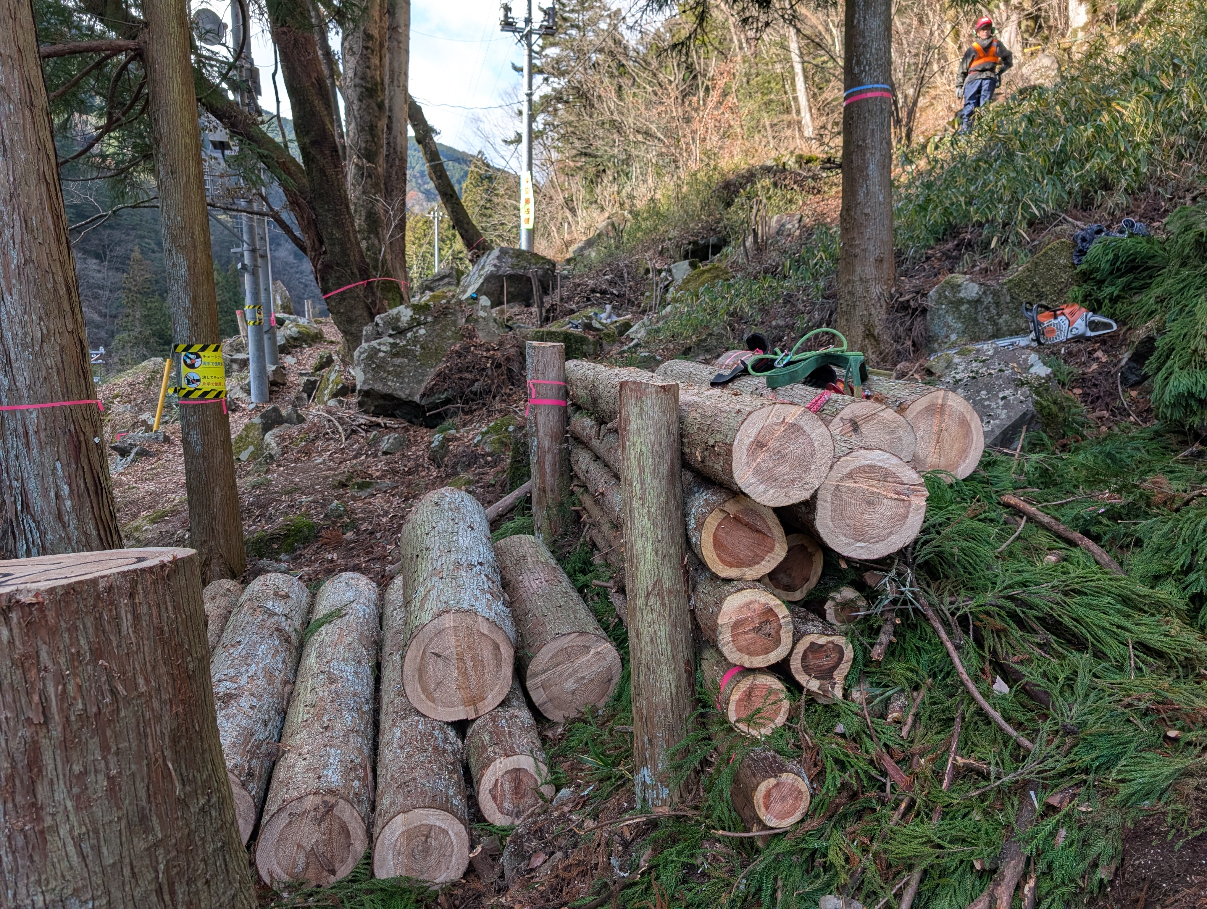 ����u���Q