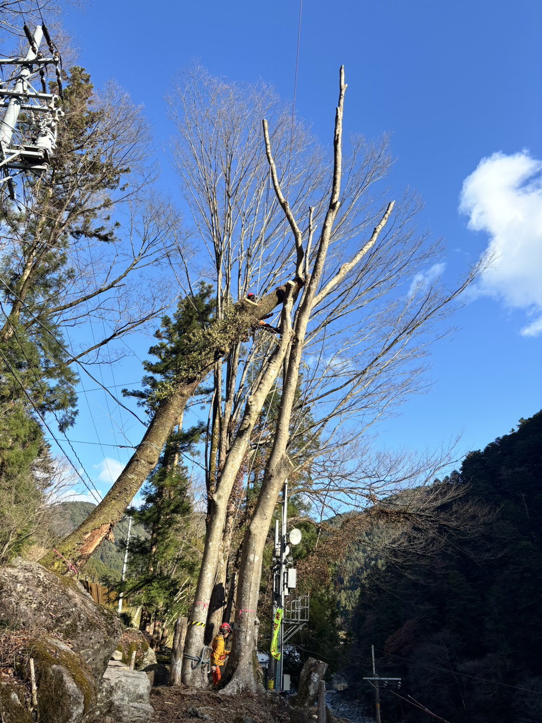 ���ȍ��̘V��