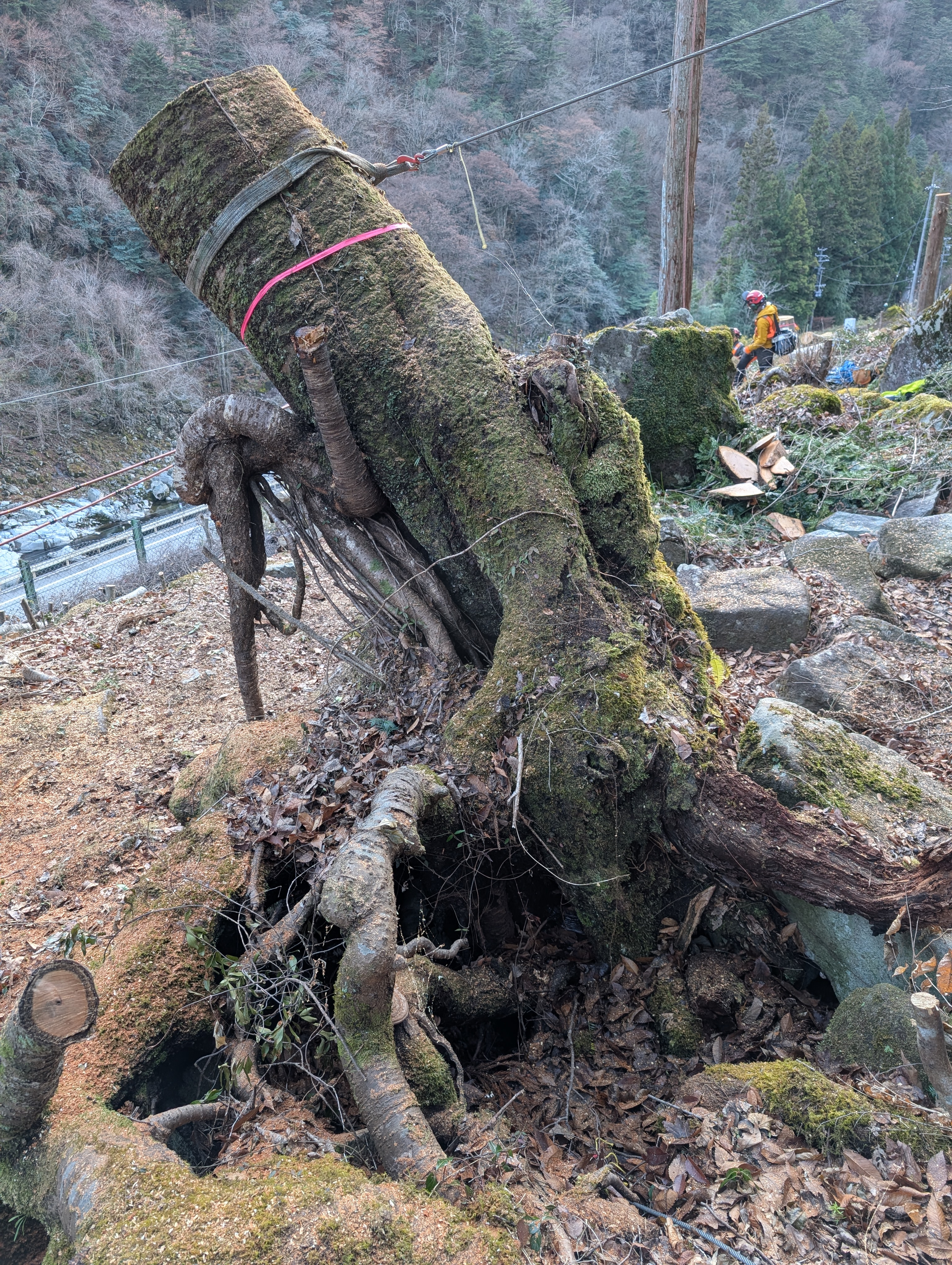 ���ȍ��̘V�؂R