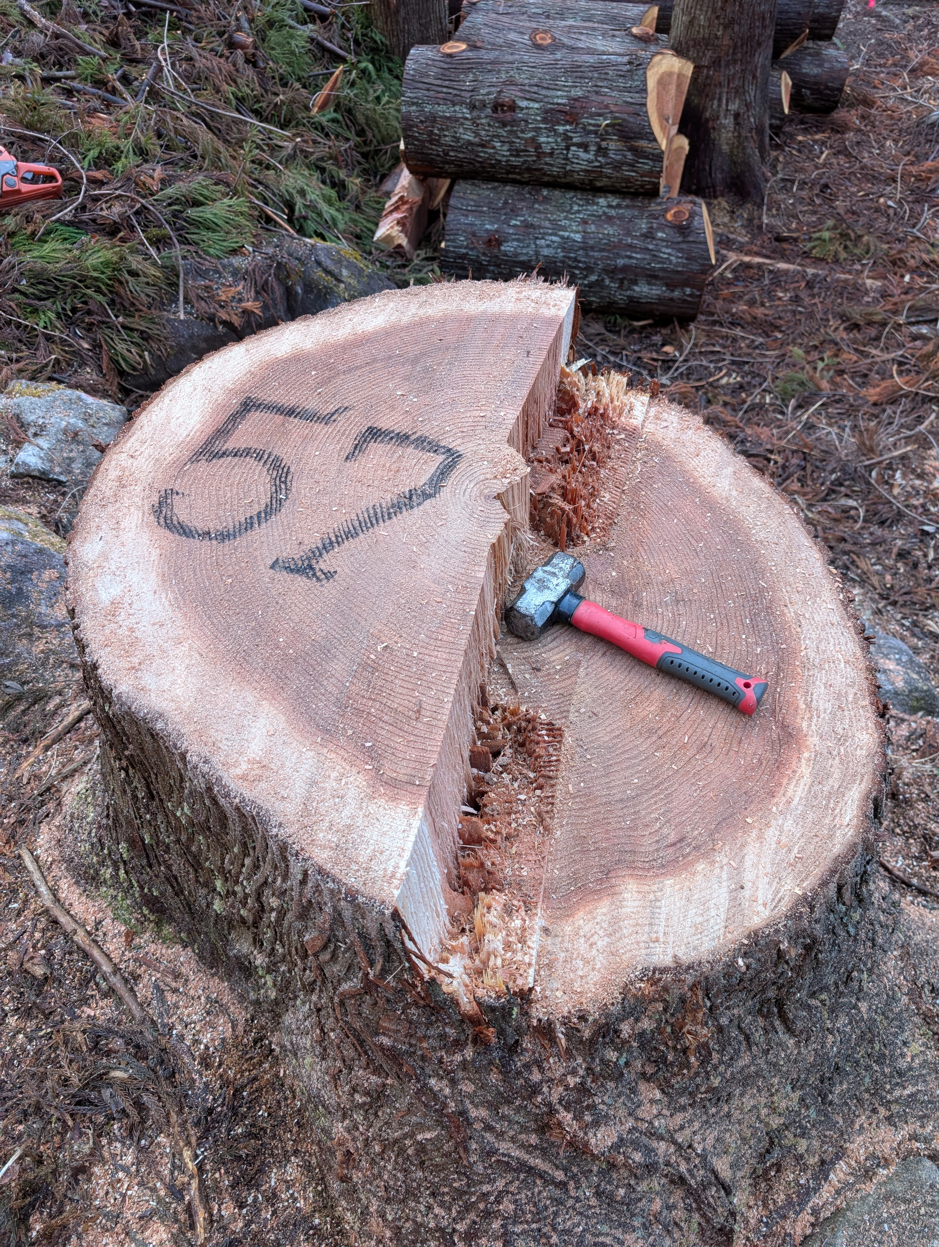 �吙���|�Q