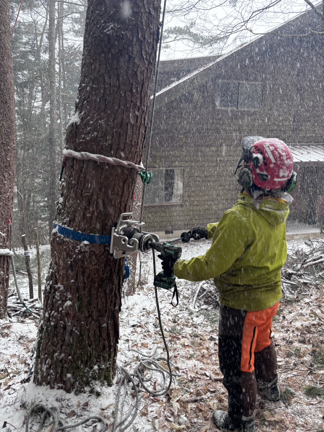 �G���t�@���g�E�B���`