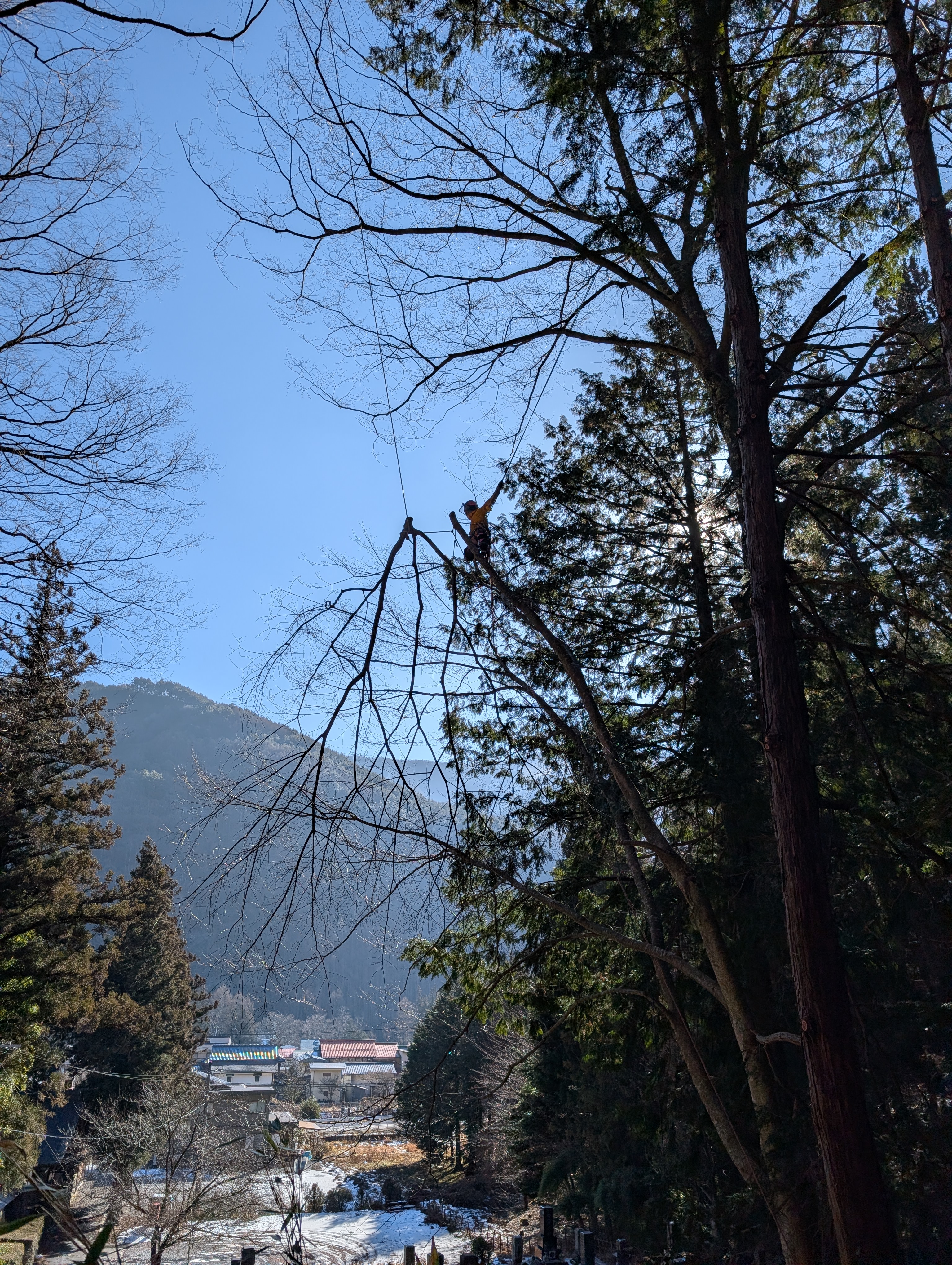 �P���L�}���낵