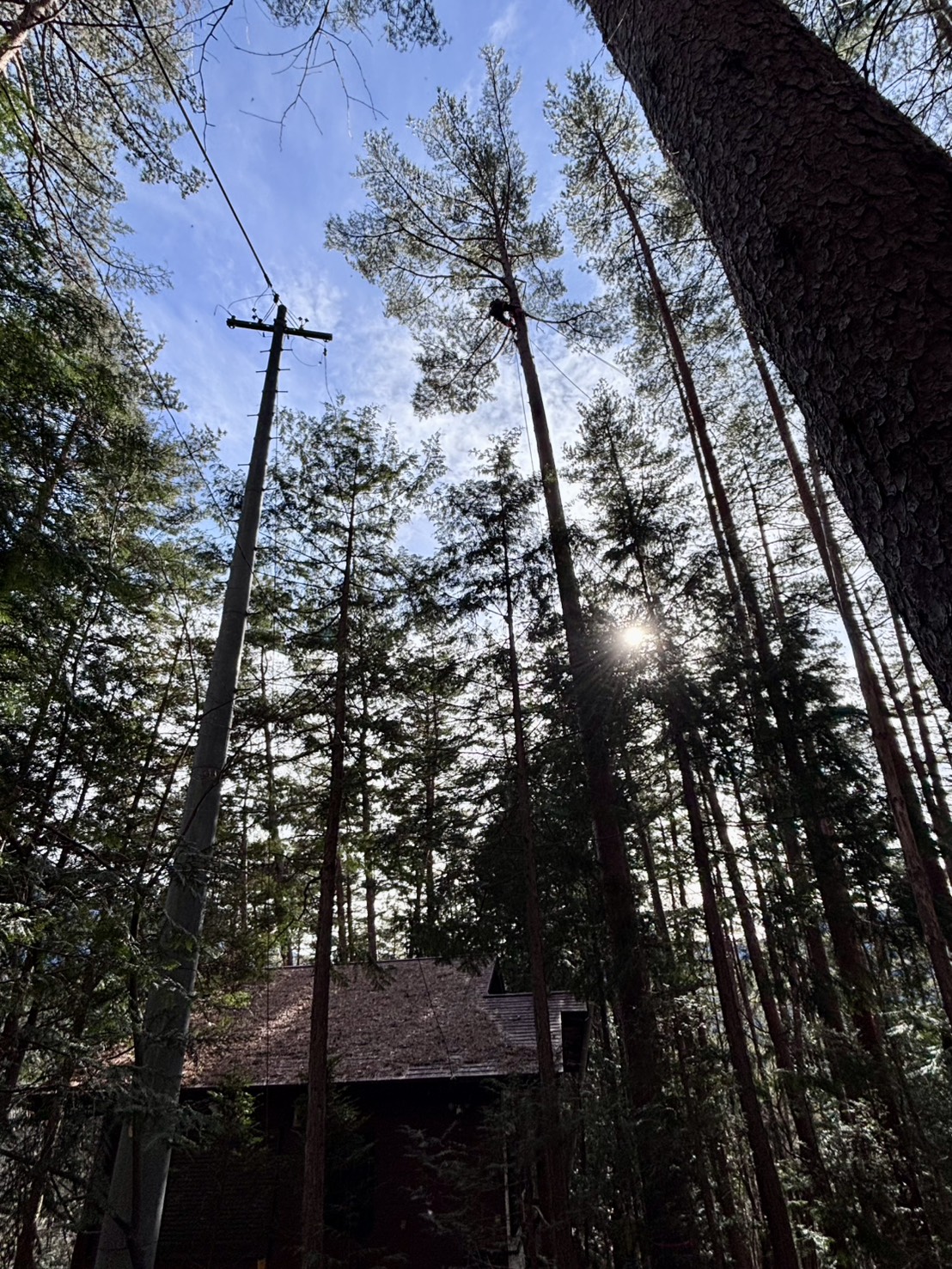 �ԏ����؂P