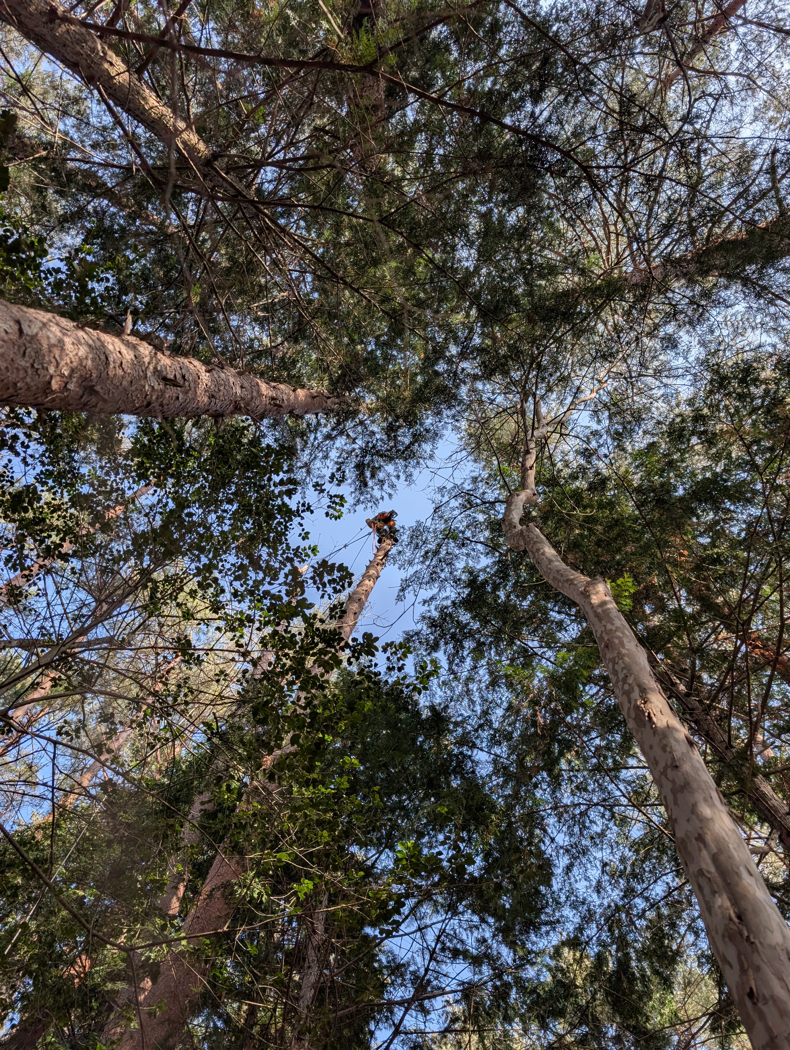 �ԏ����؂Q