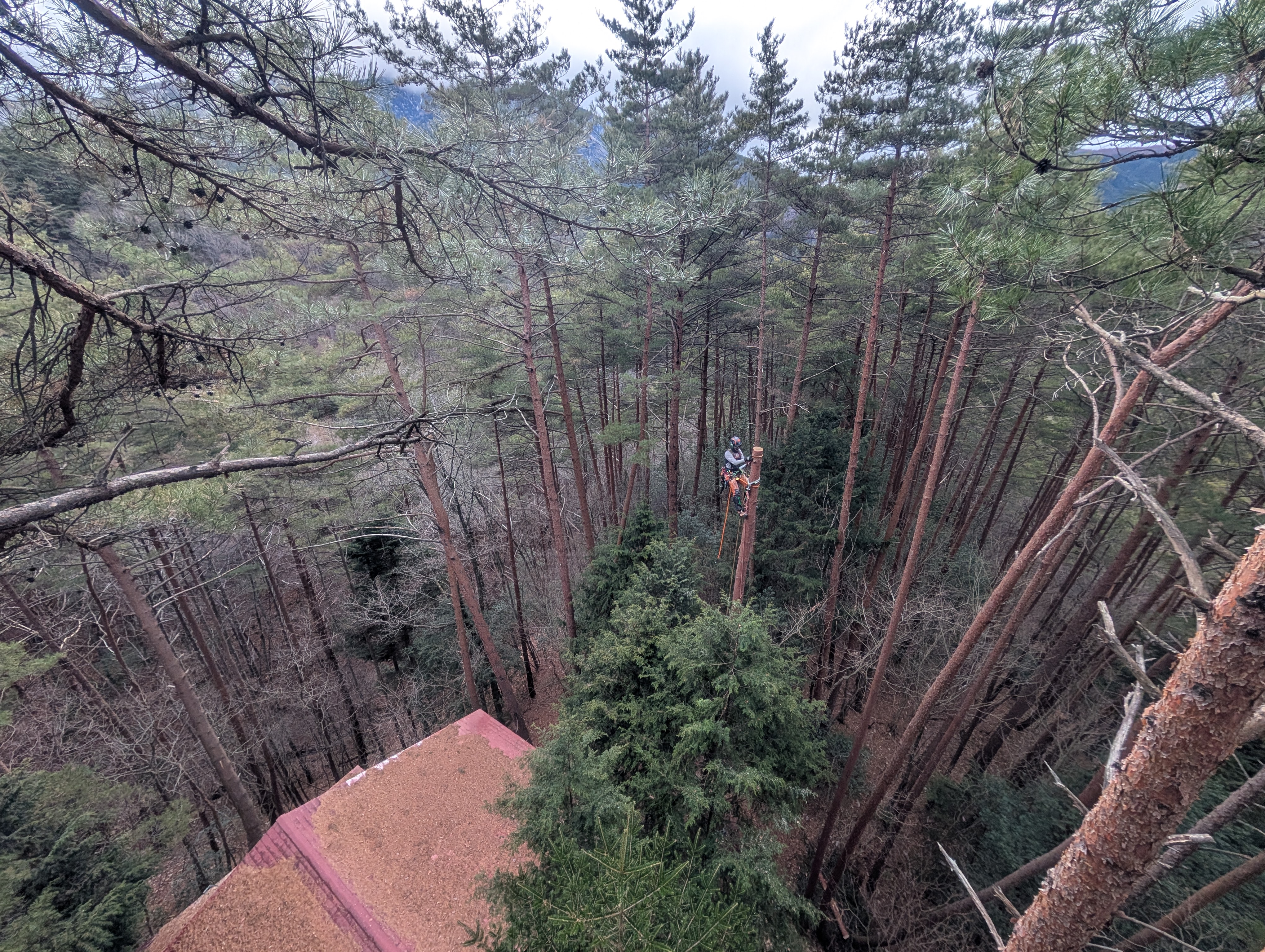 �x���W���~��