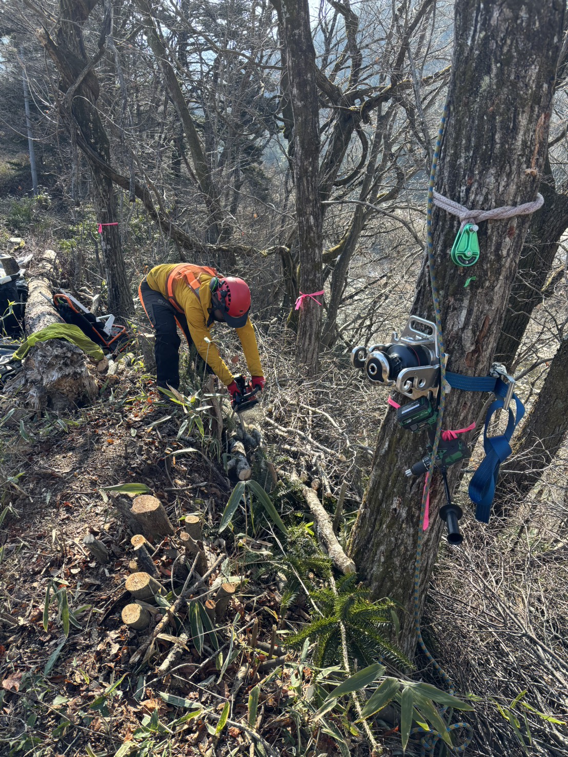 �G���t�@���g�E�B���`