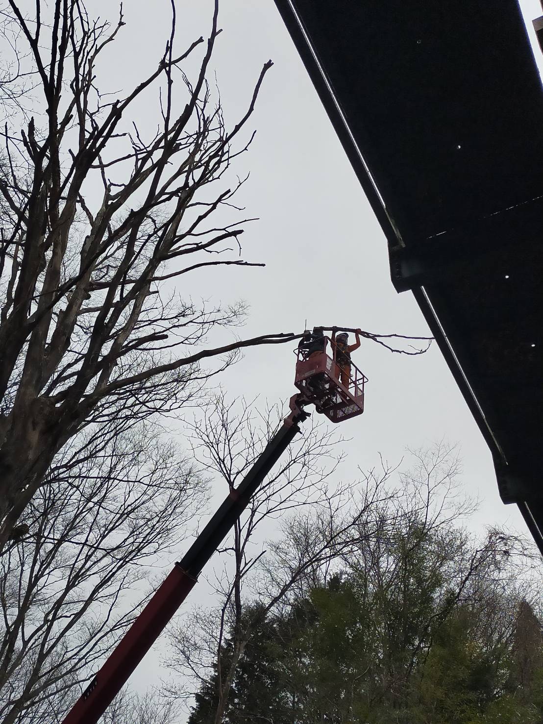 �N���[���[������Ǝ�3