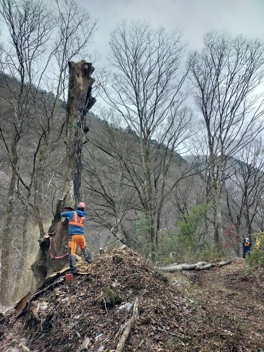 �P���L���|