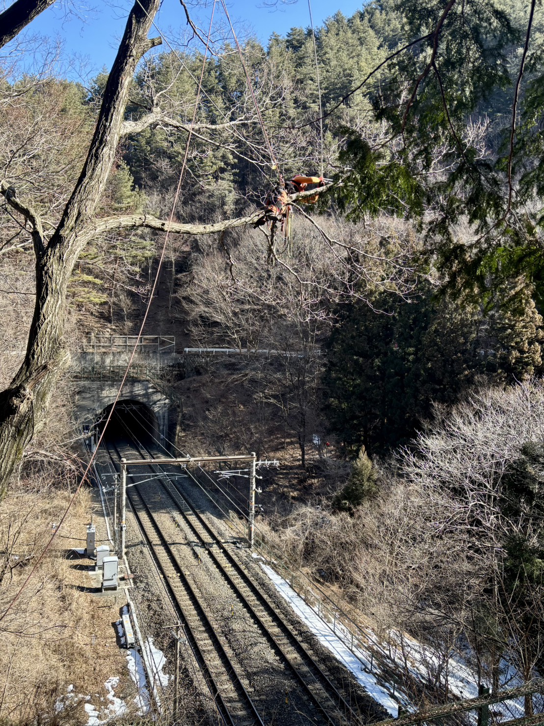 ���؎{�H�P